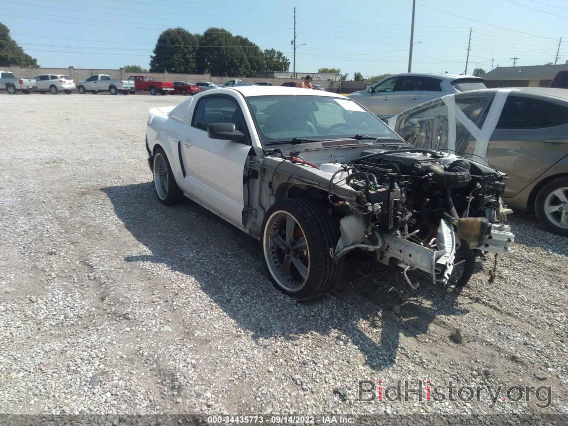 Photo 1ZVHT82H675317495 - FORD MUSTANG 2007