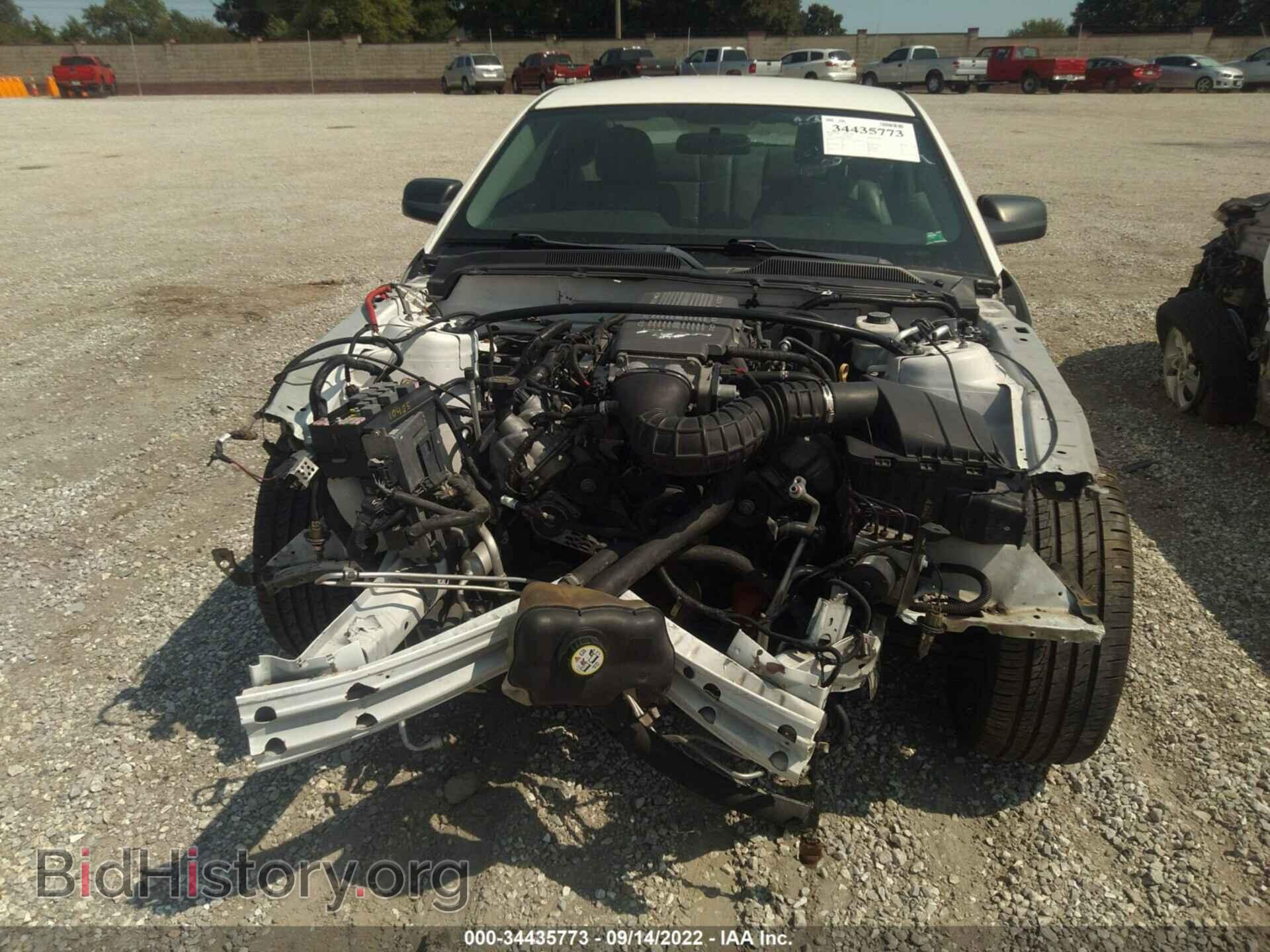 2007 FORD MUSTANG - VIN: 1ZVHT82H675317495 - Фото 6