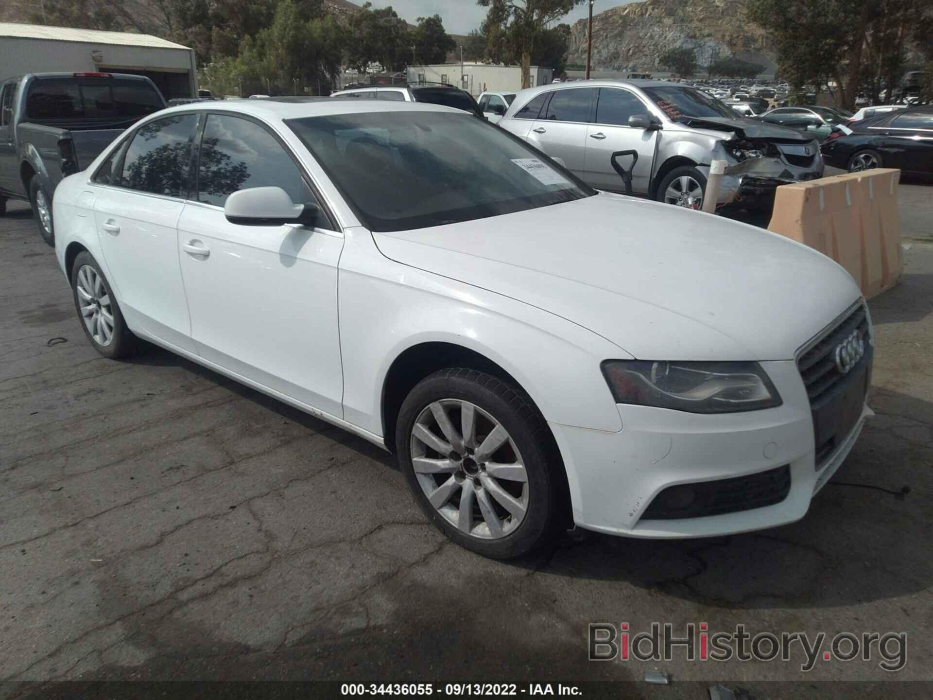 Photo WAUEFAFL6BN001667 - AUDI A4 2011