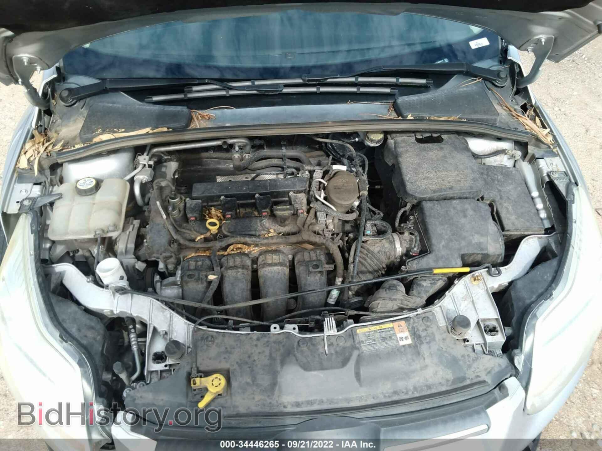 2013 FORD FOCUS - VIN: 1FADP3E24DL296479 - Фото 10