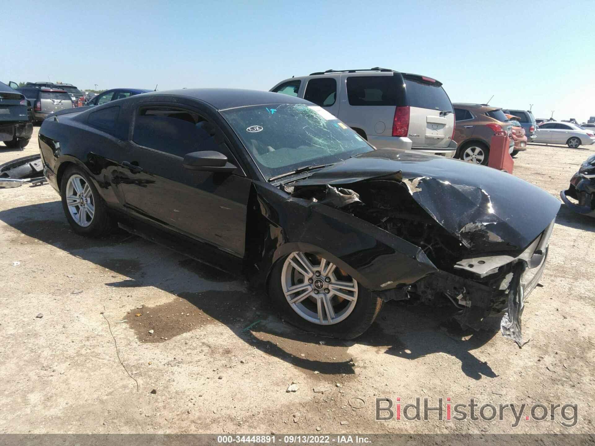 Photo 1ZVBP8AM6D5262325 - FORD MUSTANG 2013