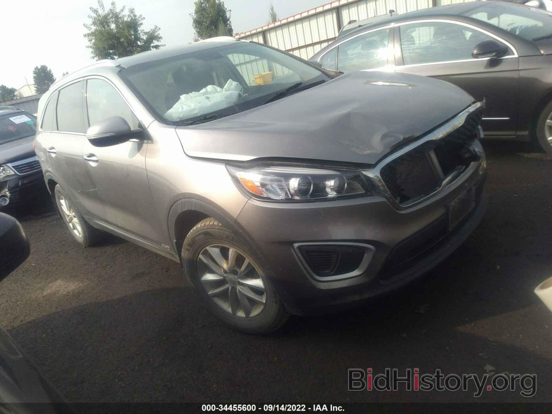 Photo 5XYPGDA35HG254612 - KIA SORENTO 2017