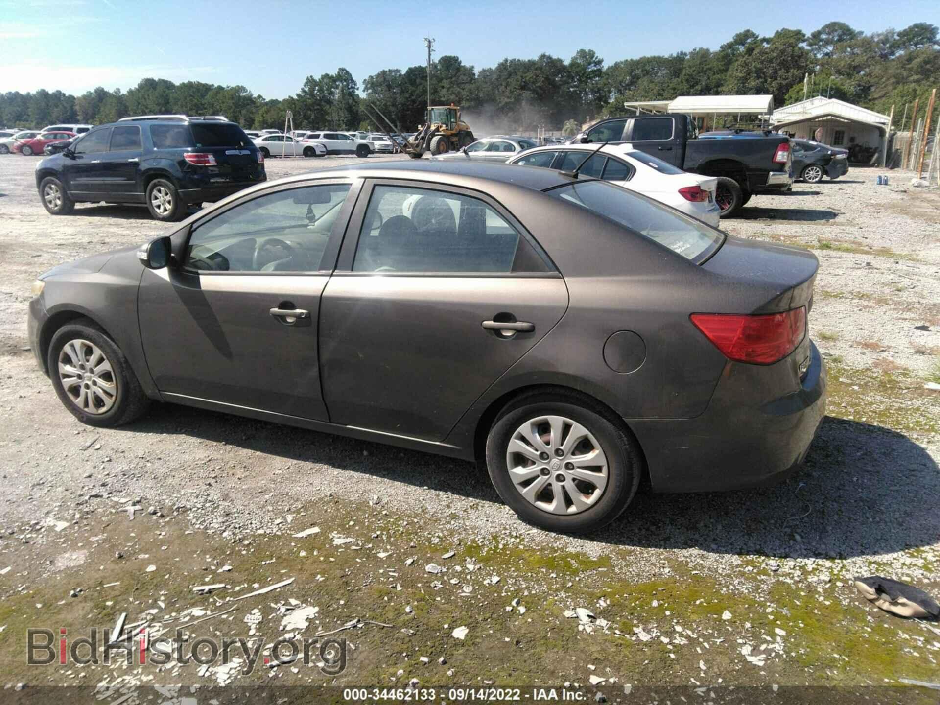 2010 KIA FORTE - VIN: KNAFU4A29A5824294 - Фото 3
