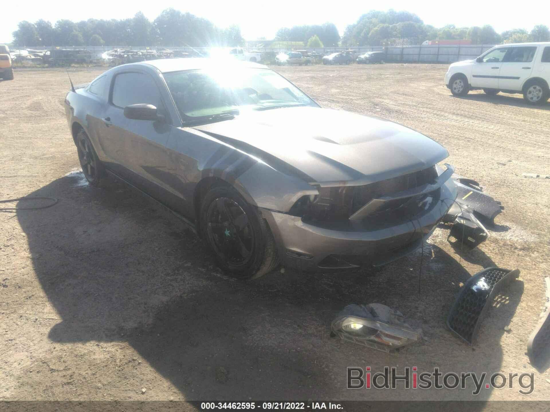 Photo 1ZVBP8AM7B5143454 - FORD MUSTANG 2011