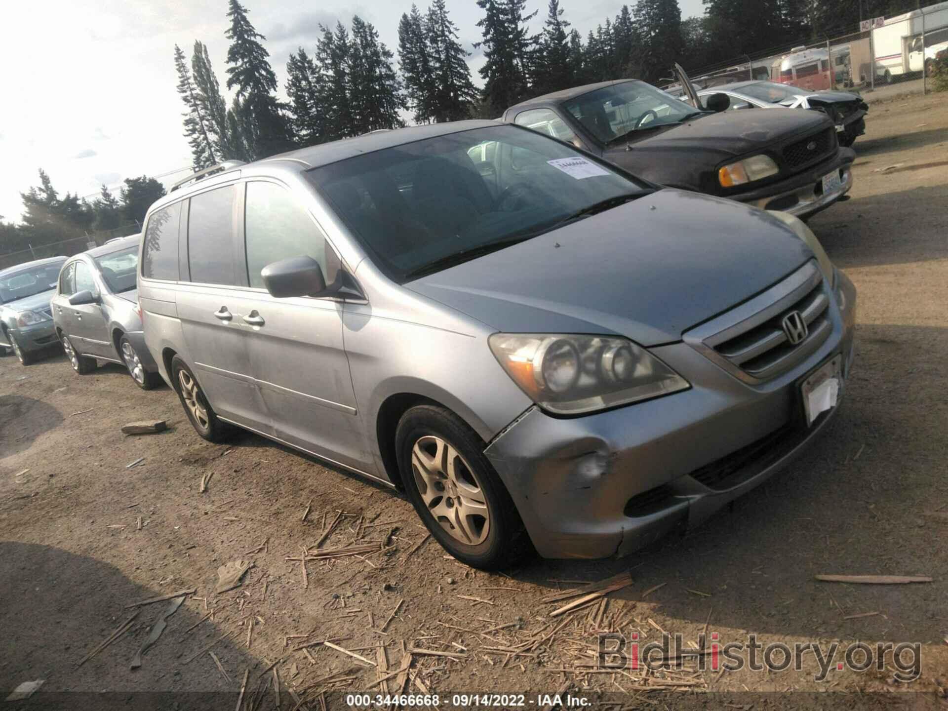 Фотография 5FNRL38496B090699 - HONDA ODYSSEY 2006