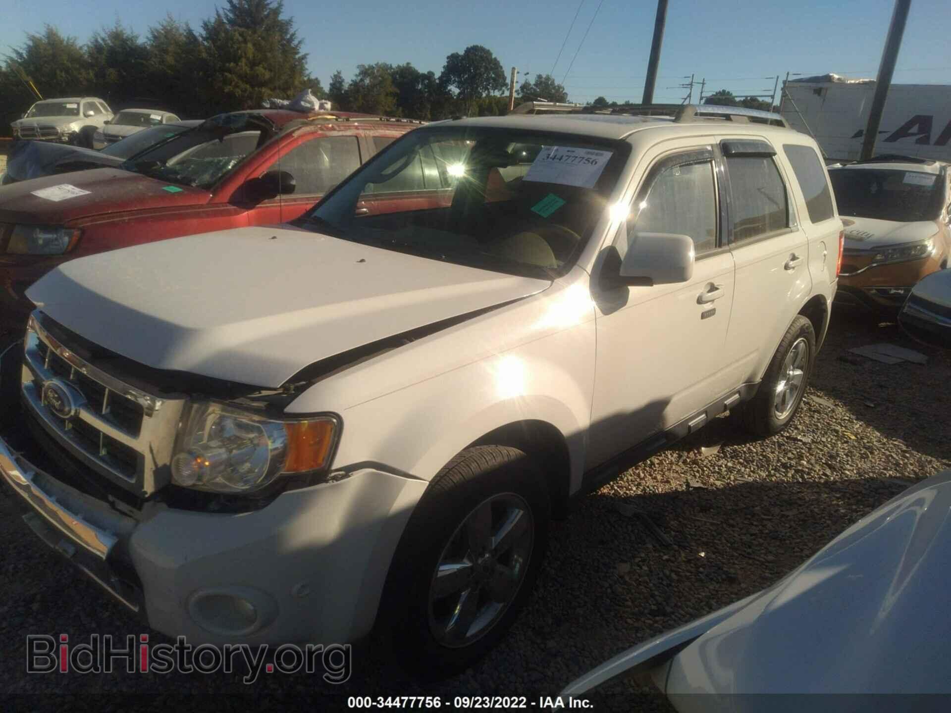 2011 FORD ESCAPE - VIN: 1FMCU9EG3BKA60532 - Фото 2