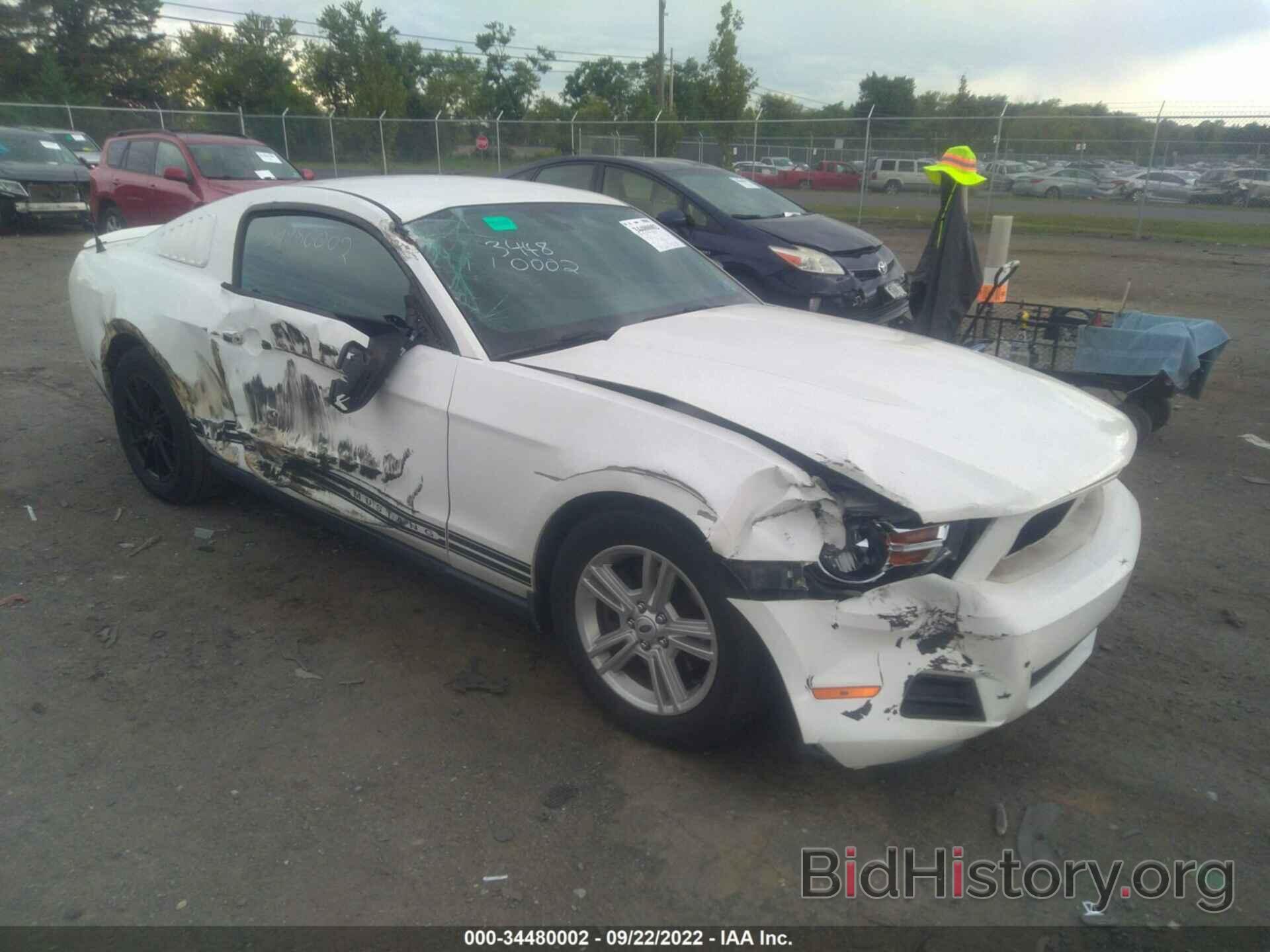 Photo 1ZVBP8AM3C5222864 - FORD MUSTANG 2012