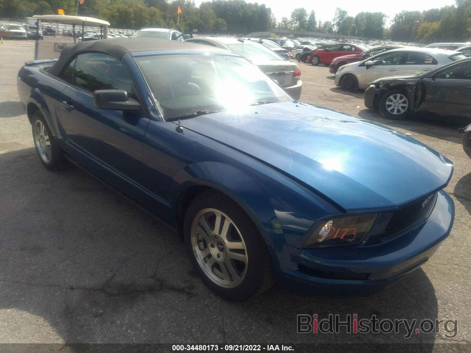 Photo 1ZVHT84N575210523 - FORD MUSTANG 2007