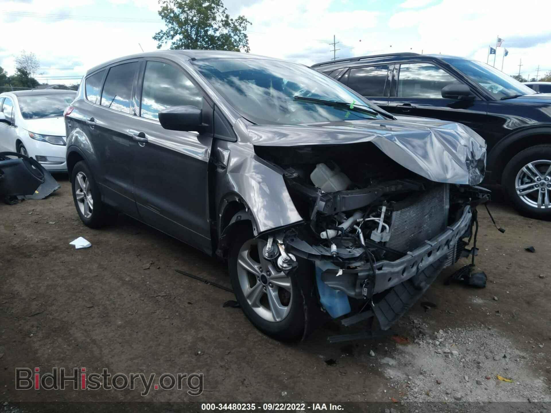 Photo 1FMCU0GX4EUC66668 - FORD ESCAPE 2014