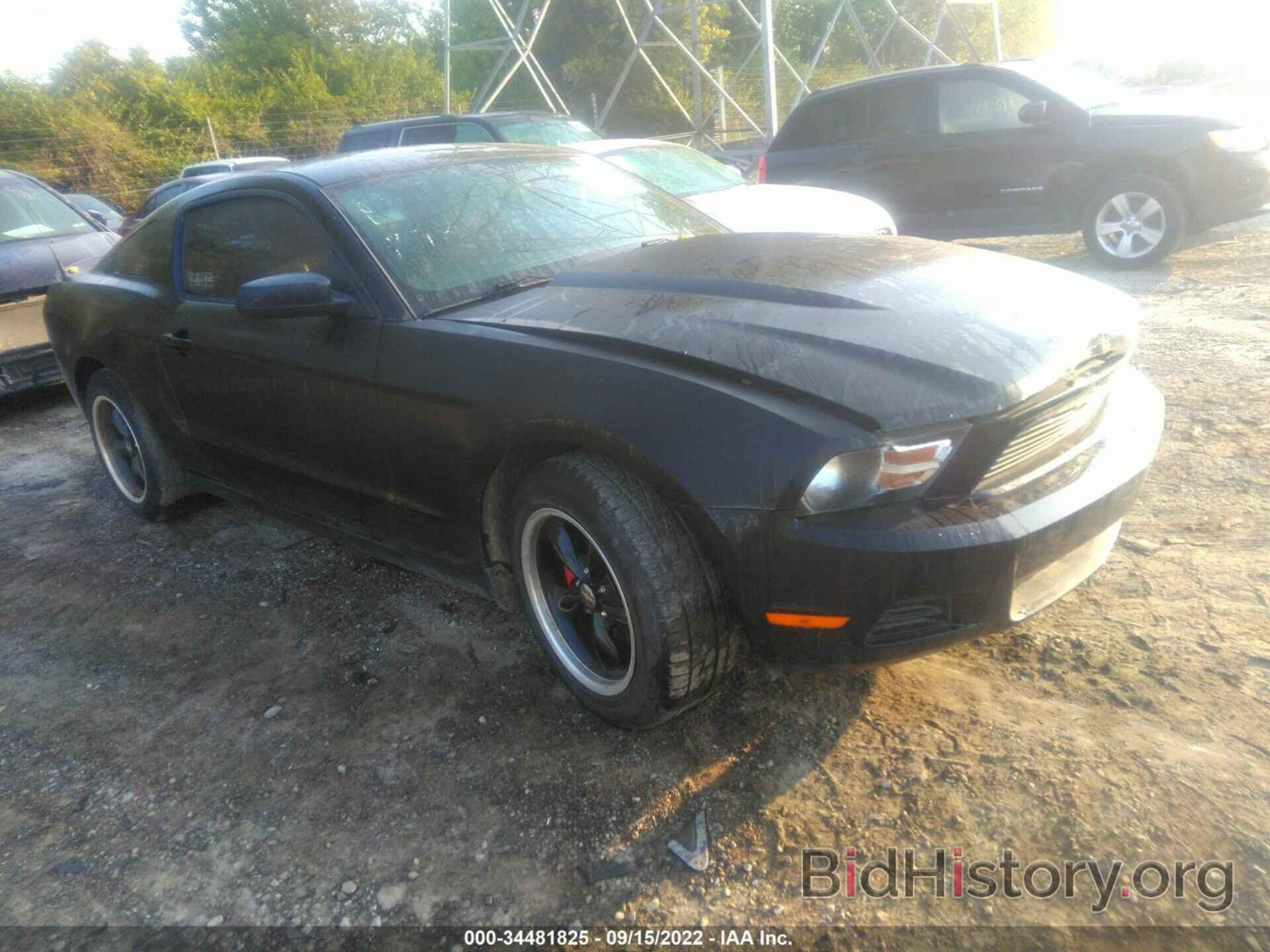 Photo 1ZVBP8AM8C5268903 - FORD MUSTANG 2012