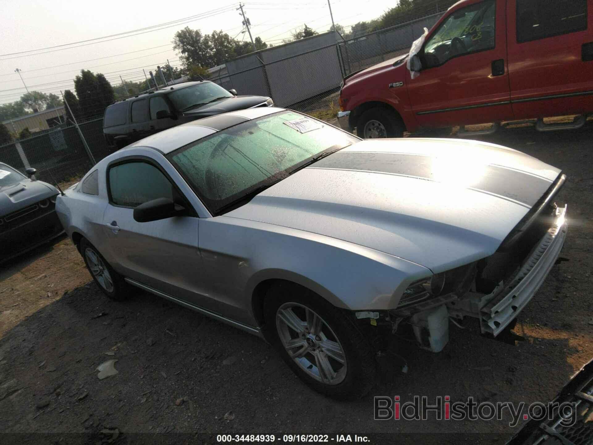 Photo 1ZVBP8AM3E5267158 - FORD MUSTANG 2014