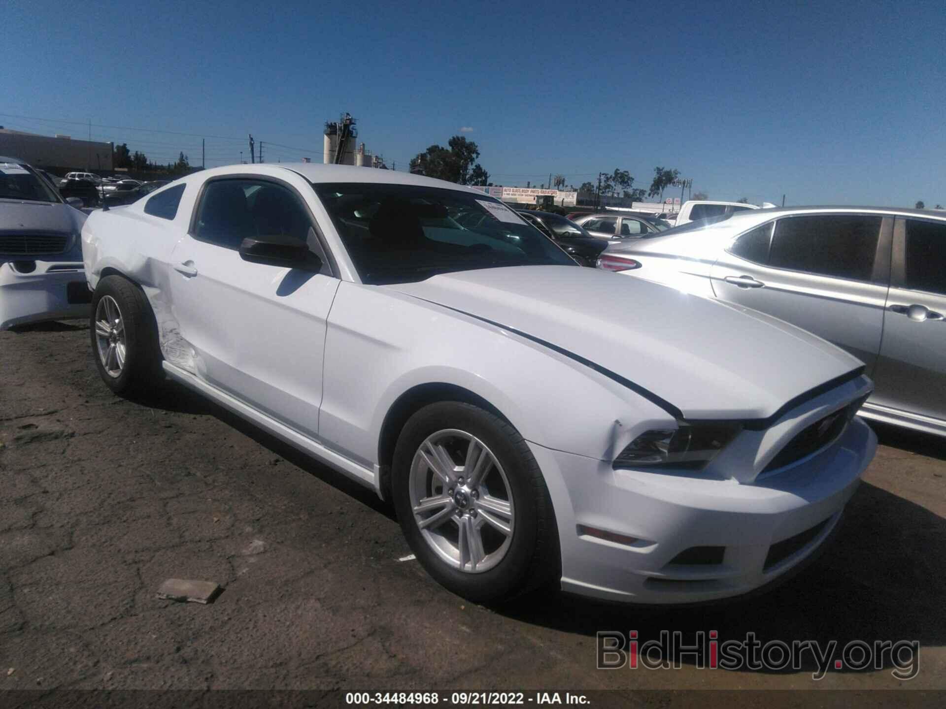 Photo 1ZVBP8AM4E5301883 - FORD MUSTANG 2014