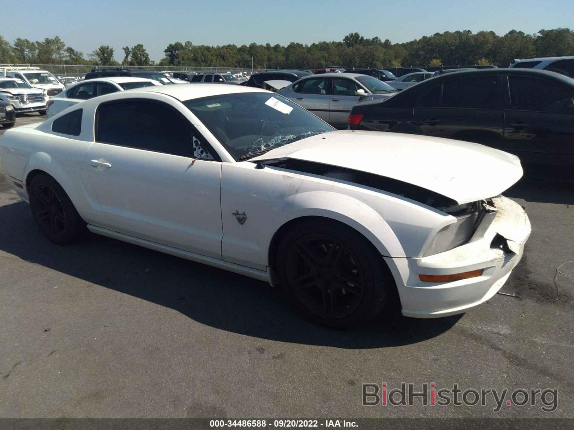 Photo 1ZVHT82H195120673 - FORD MUSTANG 2009