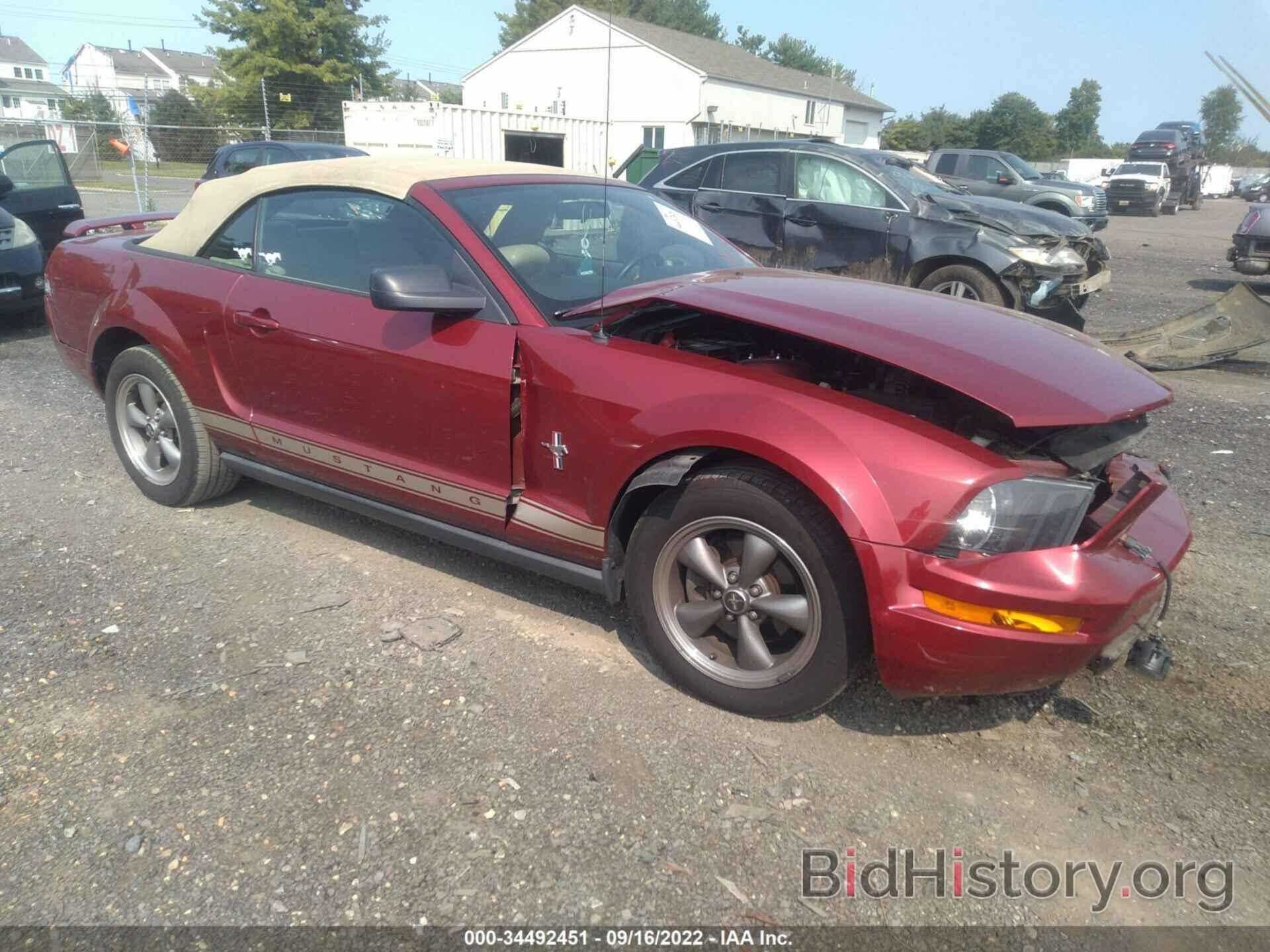 Photo 1ZVFT84N865222624 - FORD MUSTANG 2006