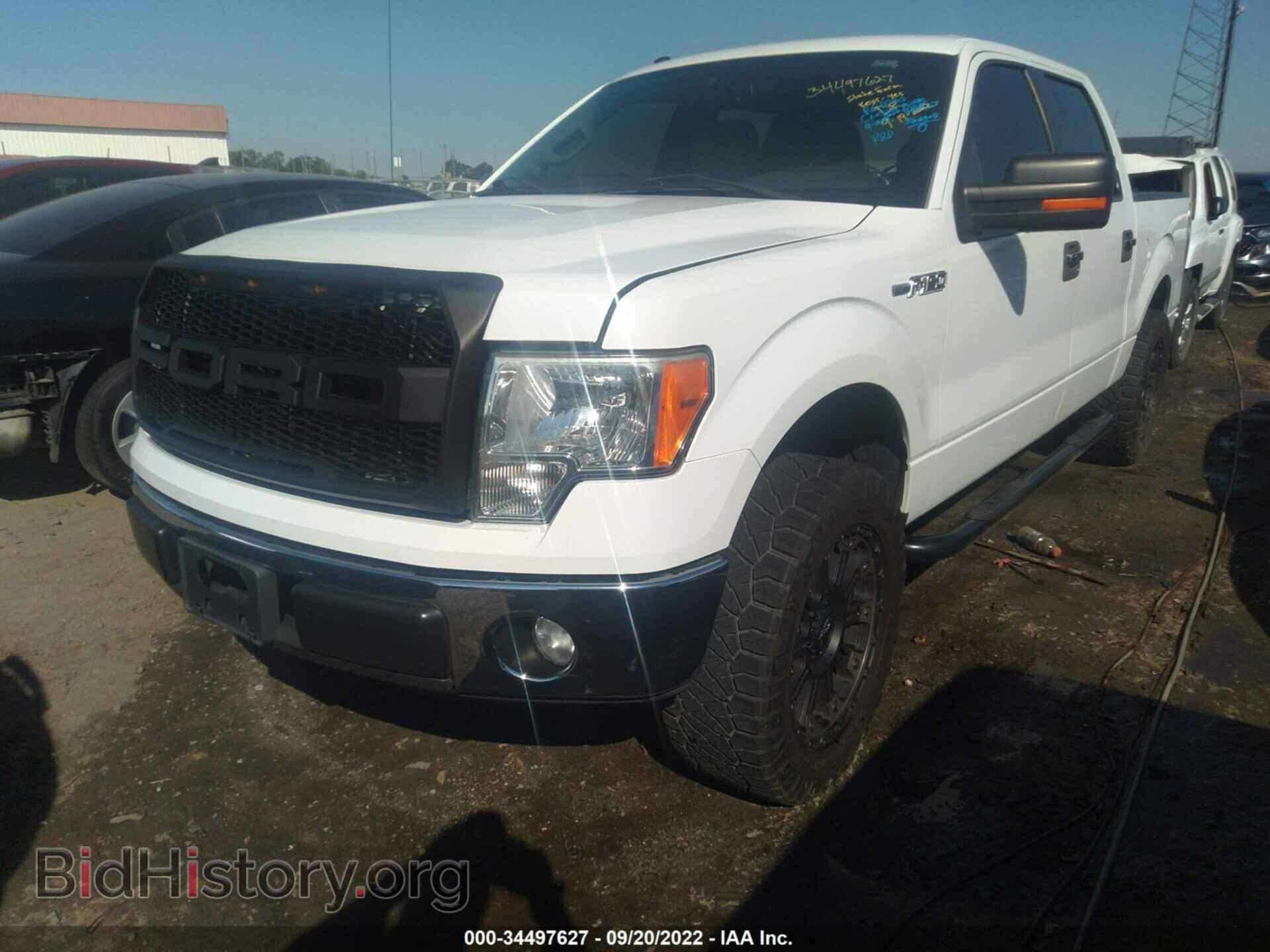 2012 FORD F-150 - VIN: 1FTEW1CM4CKD13019 - Photo 2
