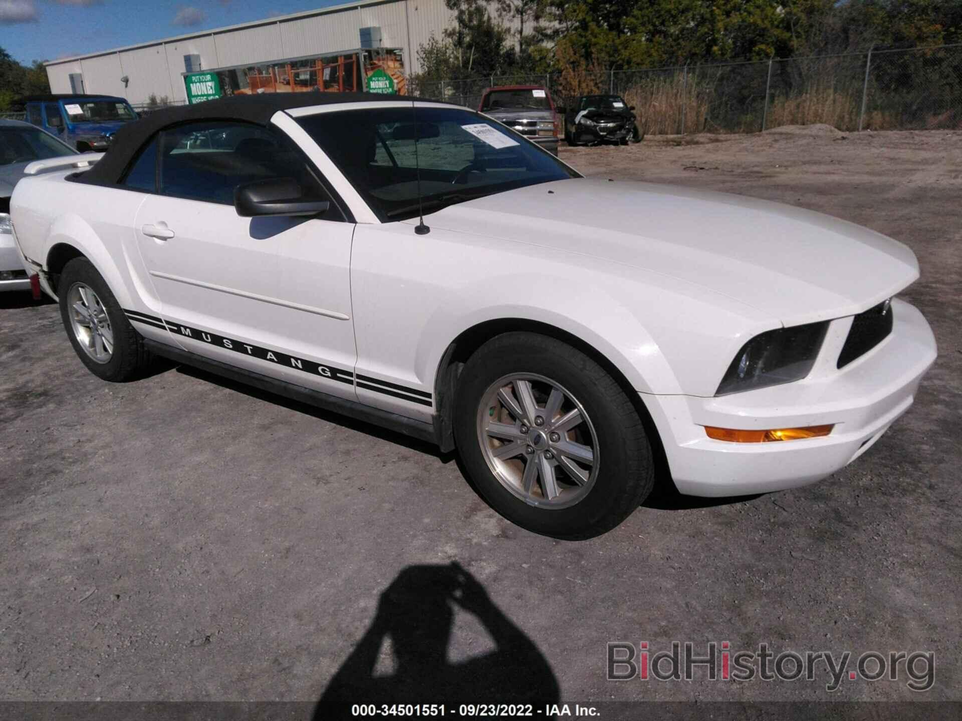 Photo 1ZVFT84NX65230255 - FORD MUSTANG 2006