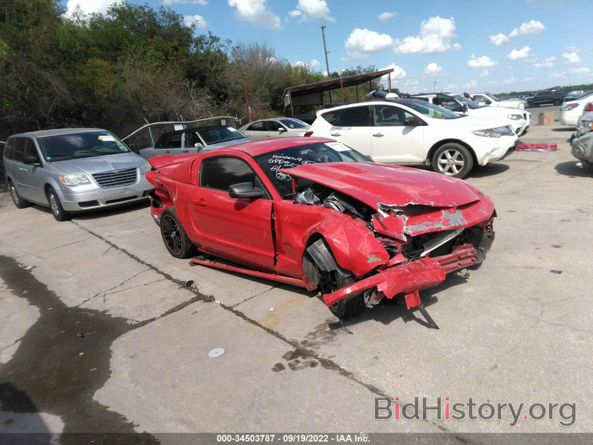 Photo 1ZVHT82H665245759 - FORD MUSTANG 2006