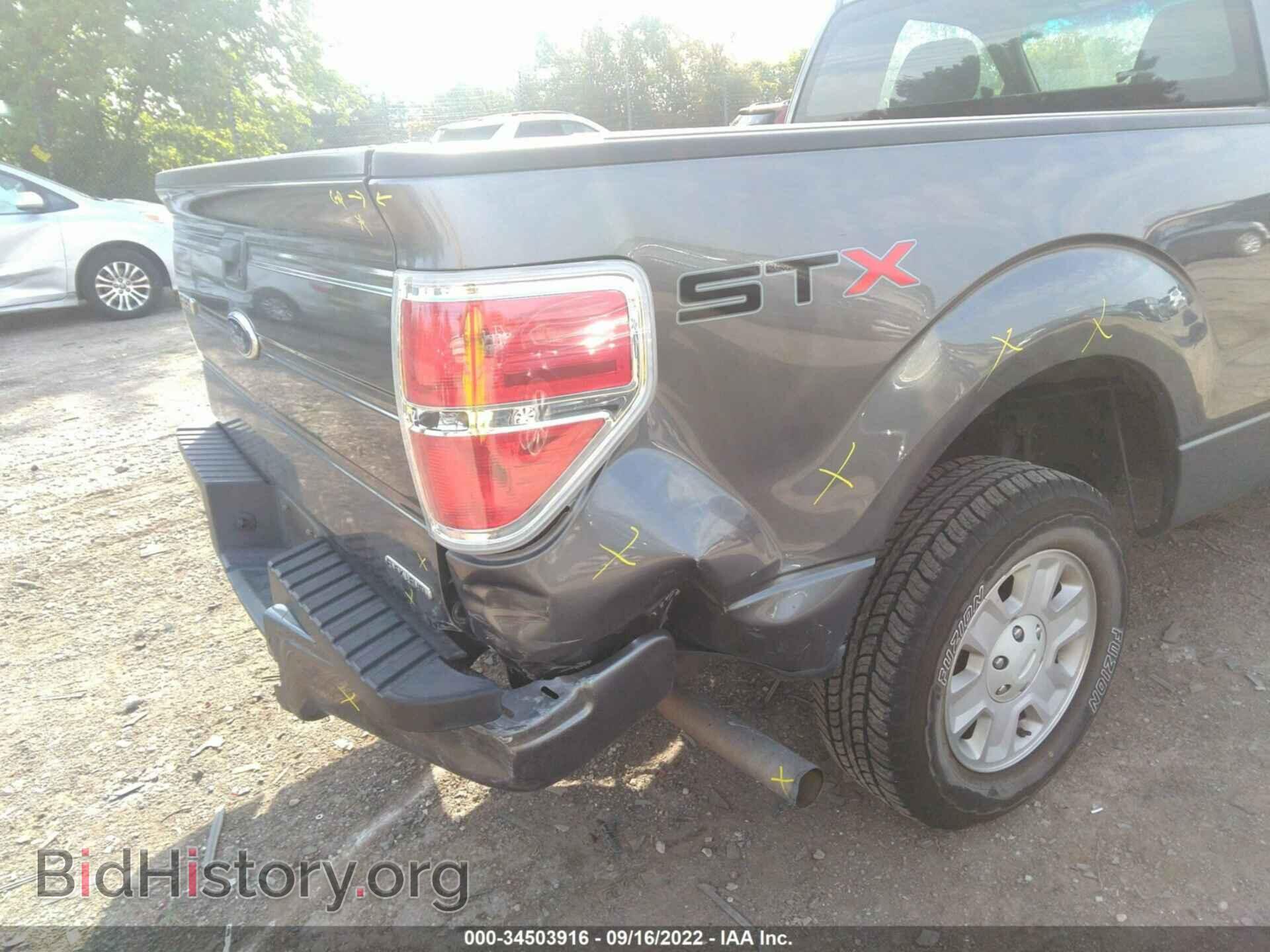2011 FORD F-150 - VIN: 1FTMF1CM6BFB37352 - Фото 12
