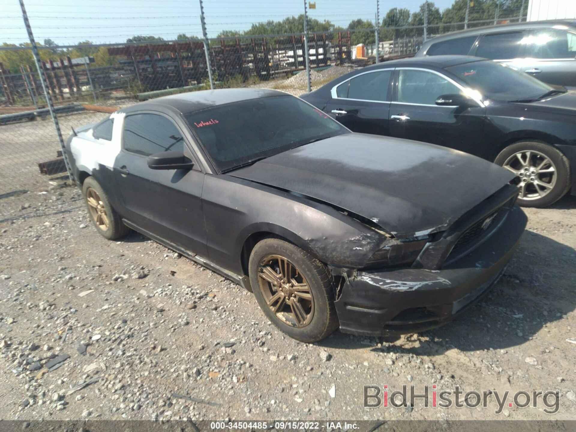 Photo 1ZVBP8AM1D5230267 - FORD MUSTANG 2013