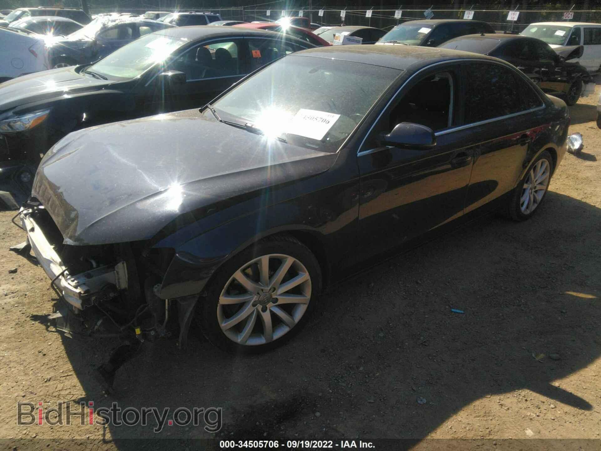 2013 AUDI A4 - VIN: WAUFFAFL4DN006602 - Фото 2