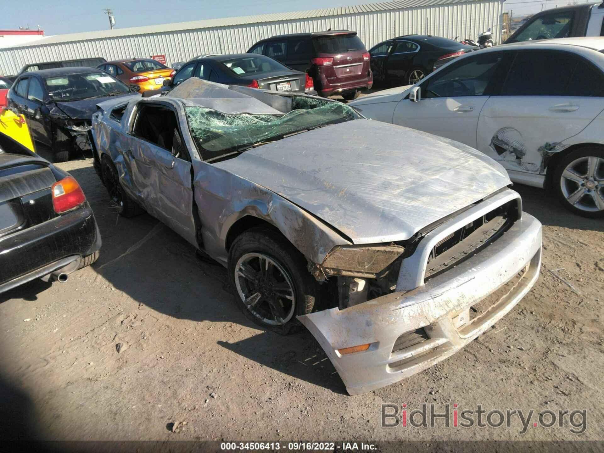 Photo 1ZVBP8AM8E5237945 - FORD MUSTANG 2014