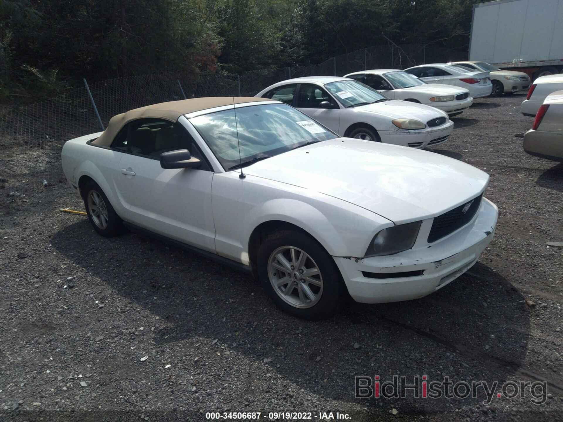 Photo 1ZVFT84N465105834 - FORD MUSTANG 2006