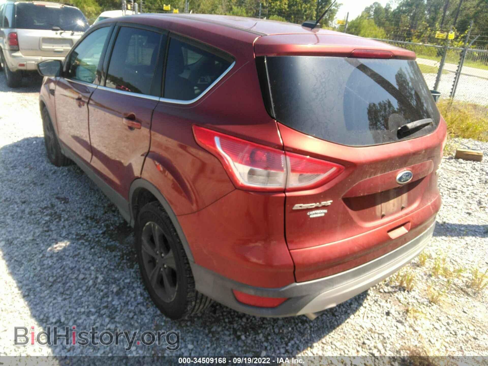 2014 FORD ESCAPE - VIN: 1FMCU0GX7EUE07491 - Фото 3