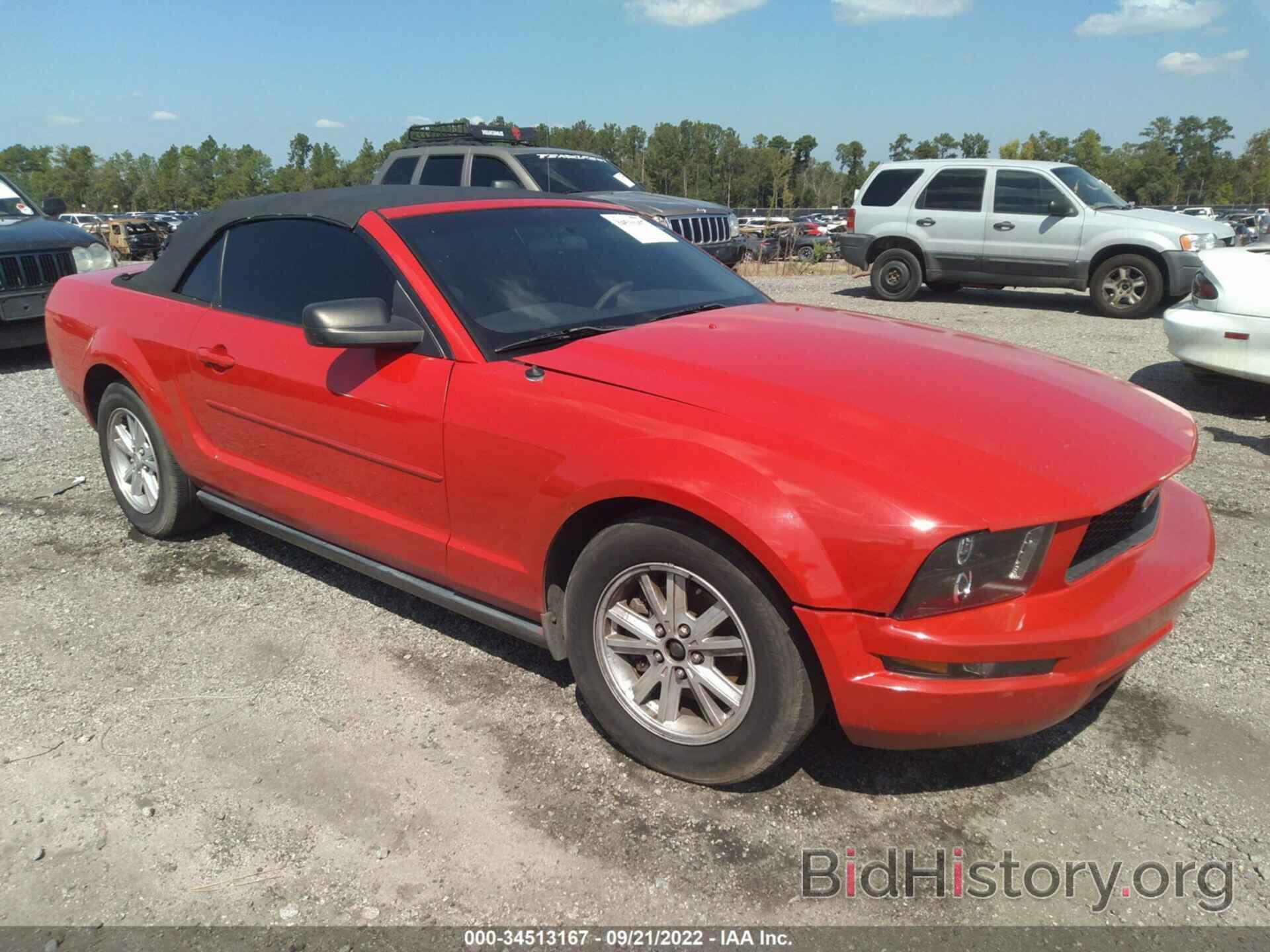 Photo 1ZVFT84N175327751 - FORD MUSTANG 2007