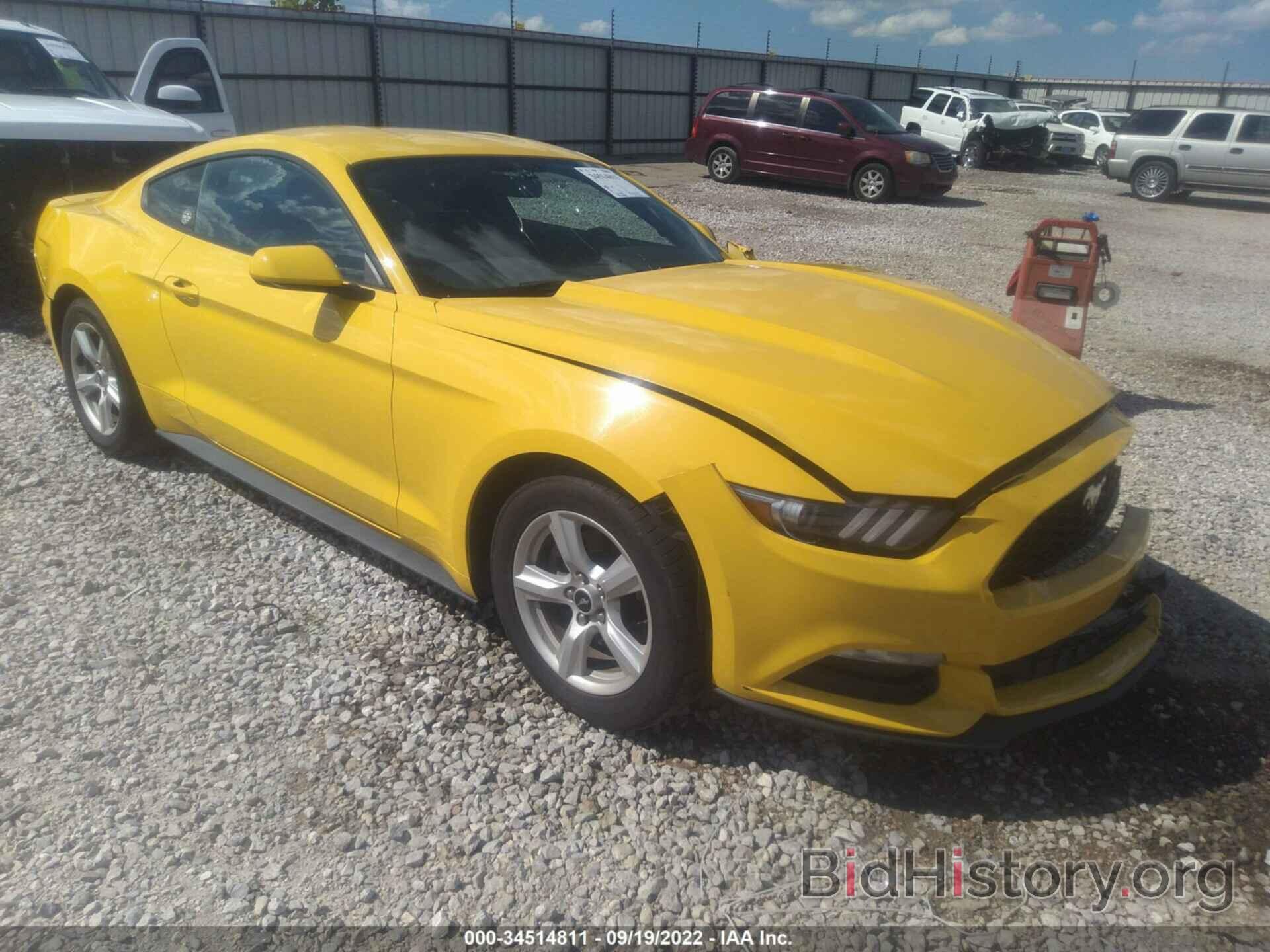 Photo 1FA6P8AM0H5339089 - FORD MUSTANG 2017