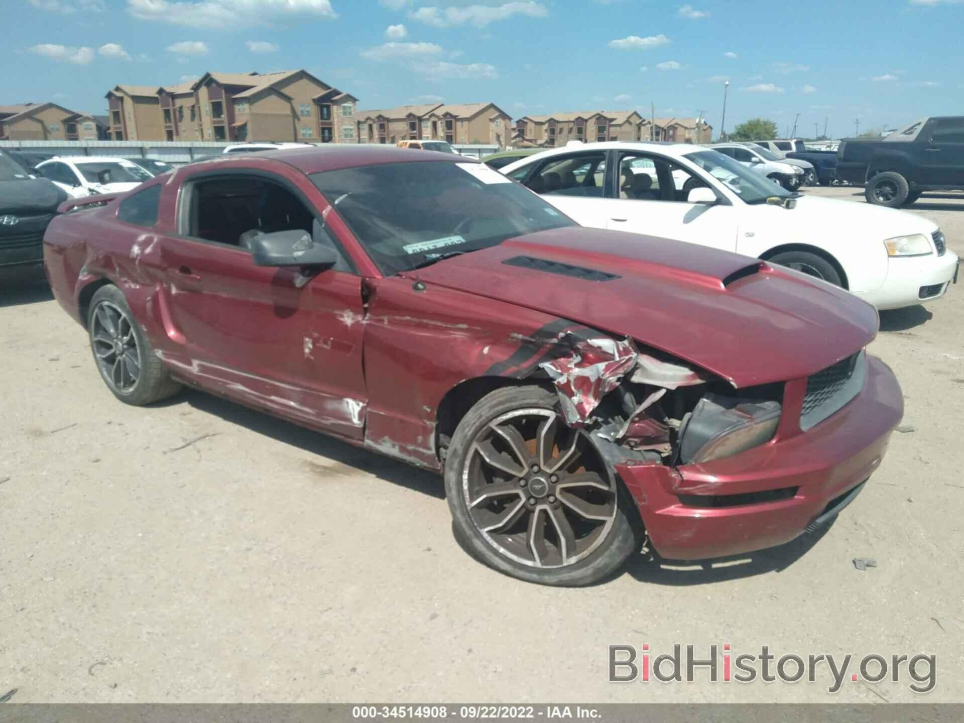 Photo 1ZVFT80N365254175 - FORD MUSTANG 2006