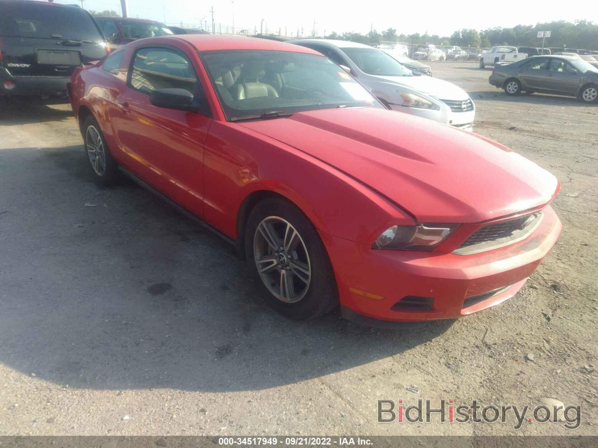 Photo 1ZVBP8AN1A5146387 - FORD MUSTANG 2010