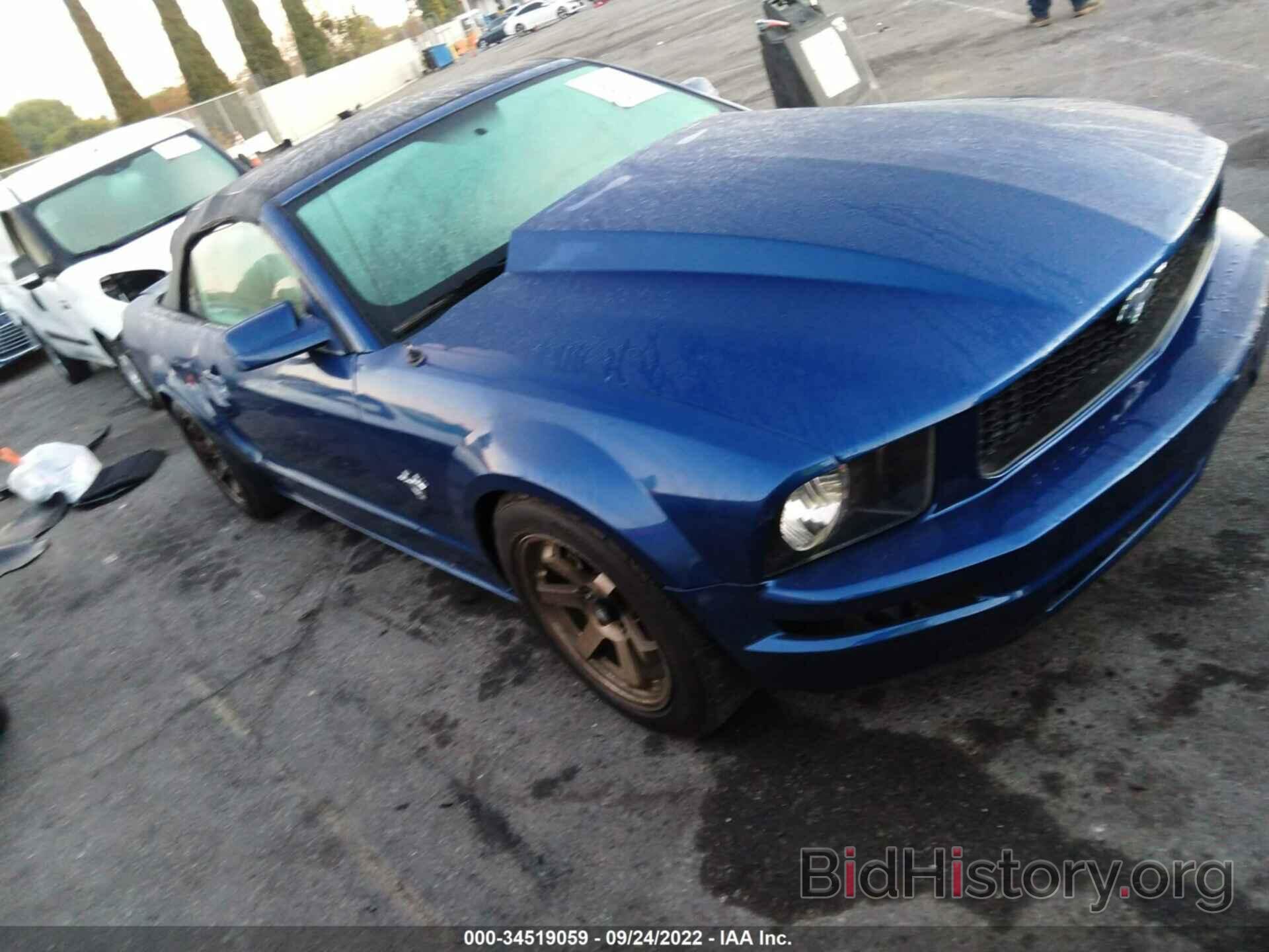 Photo 1ZVHT84NX95104460 - FORD MUSTANG 2009