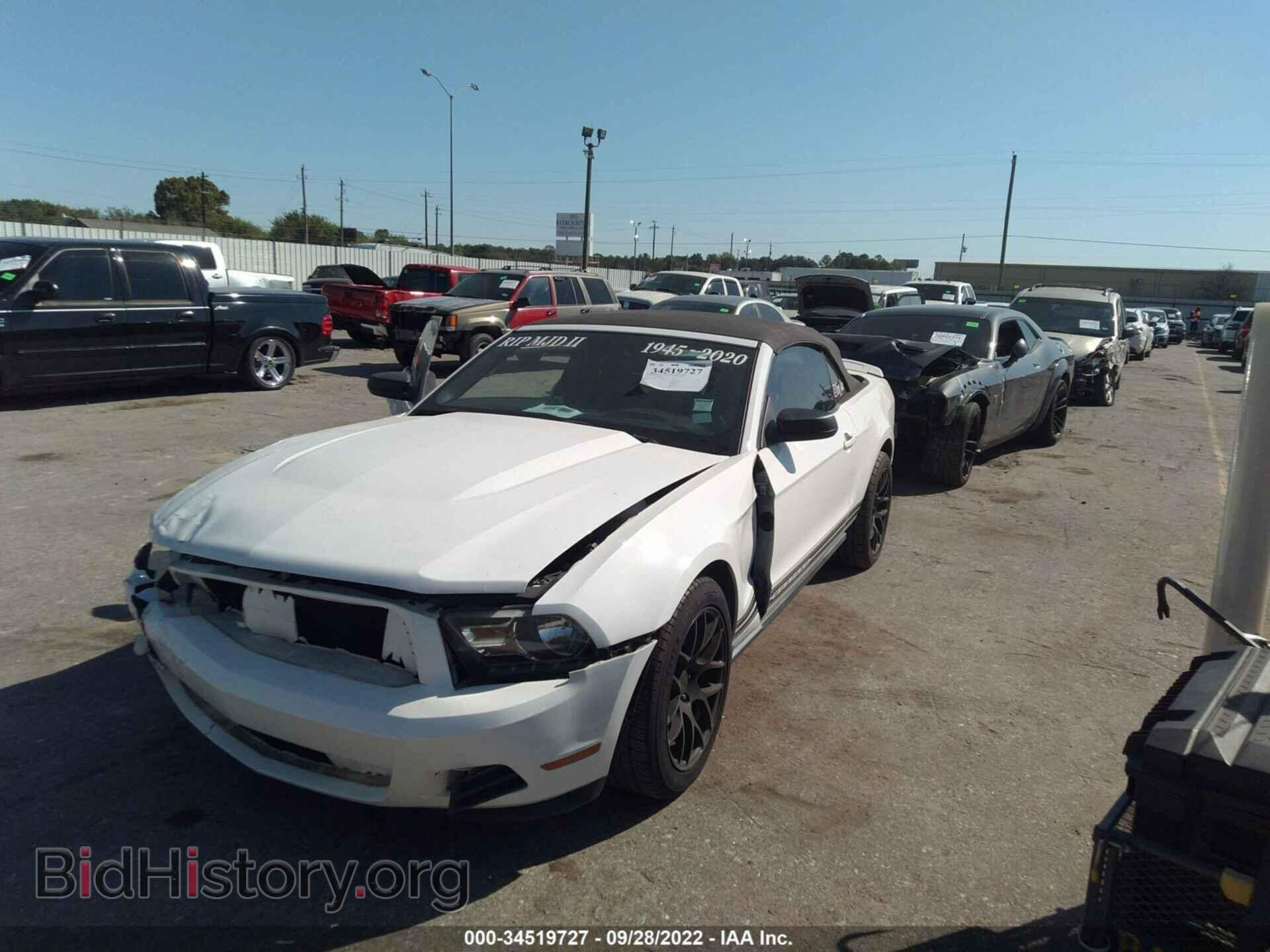 2011 FORD MUSTANG - VIN: 1ZVBP8EM7B5155503 - Фото 2