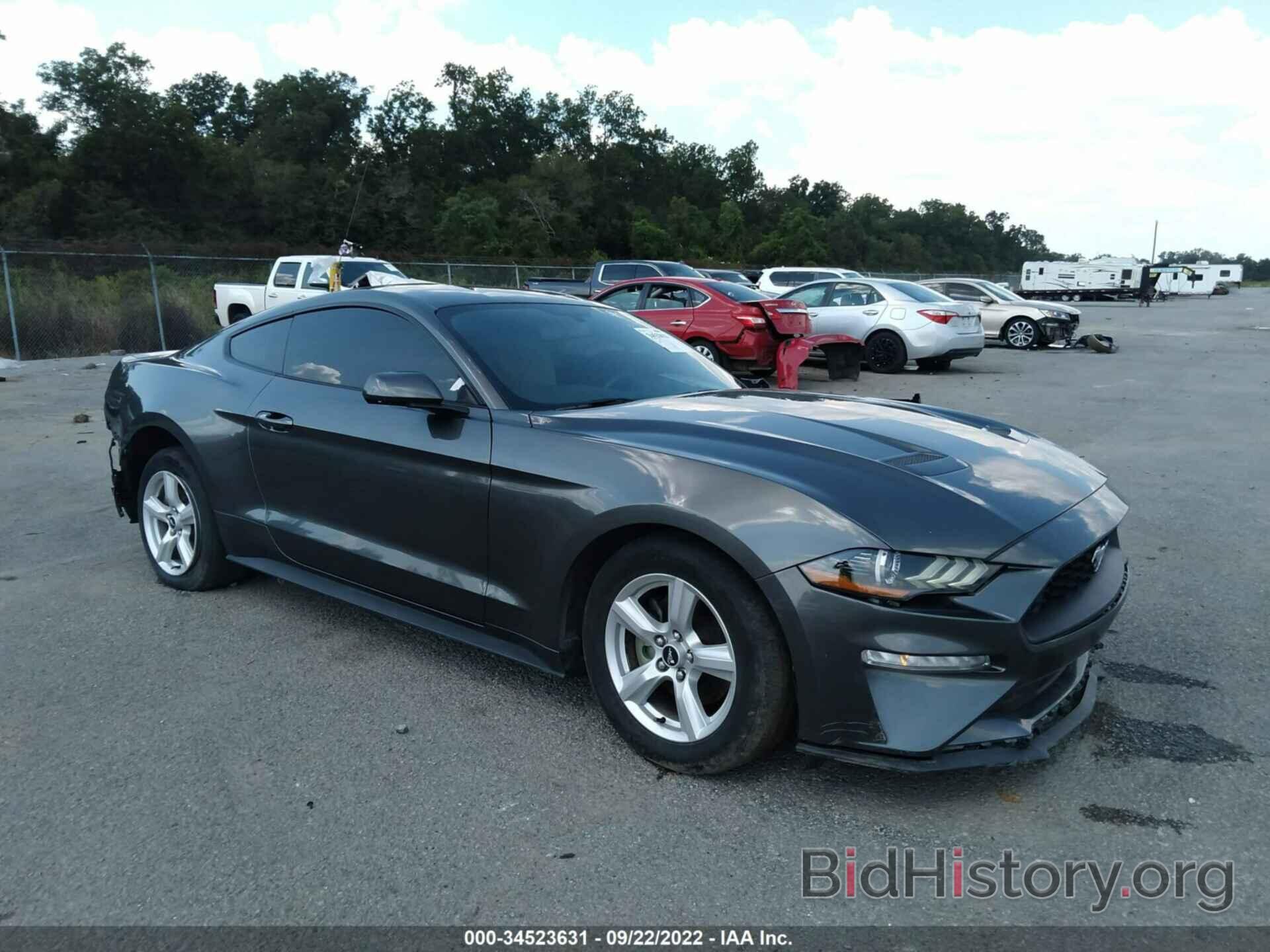 Photo 1FA6P8TH4K5166667 - FORD MUSTANG 2019