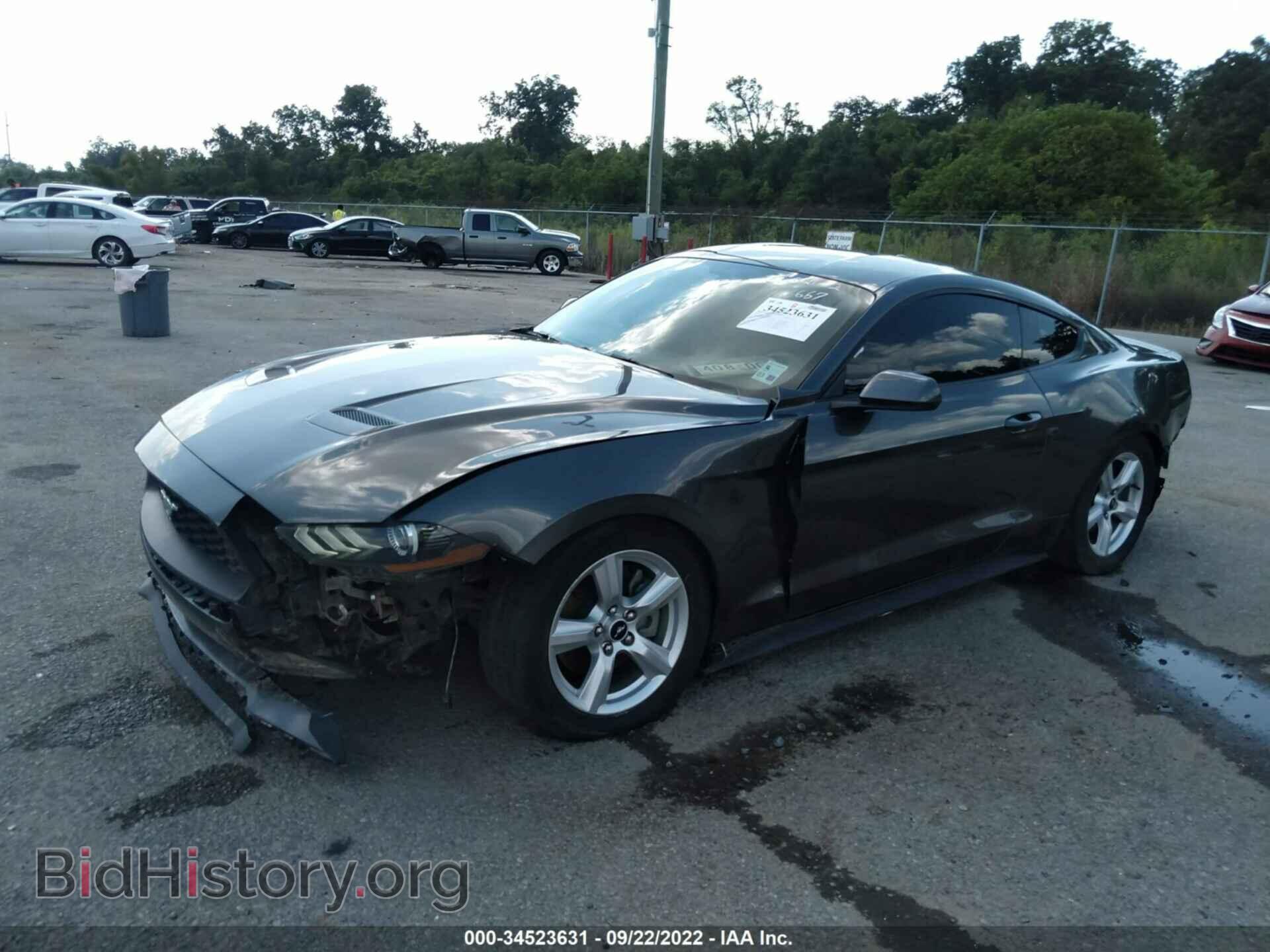 2019 FORD MUSTANG - VIN: 1FA6P8TH4K5166667 - Фото 2