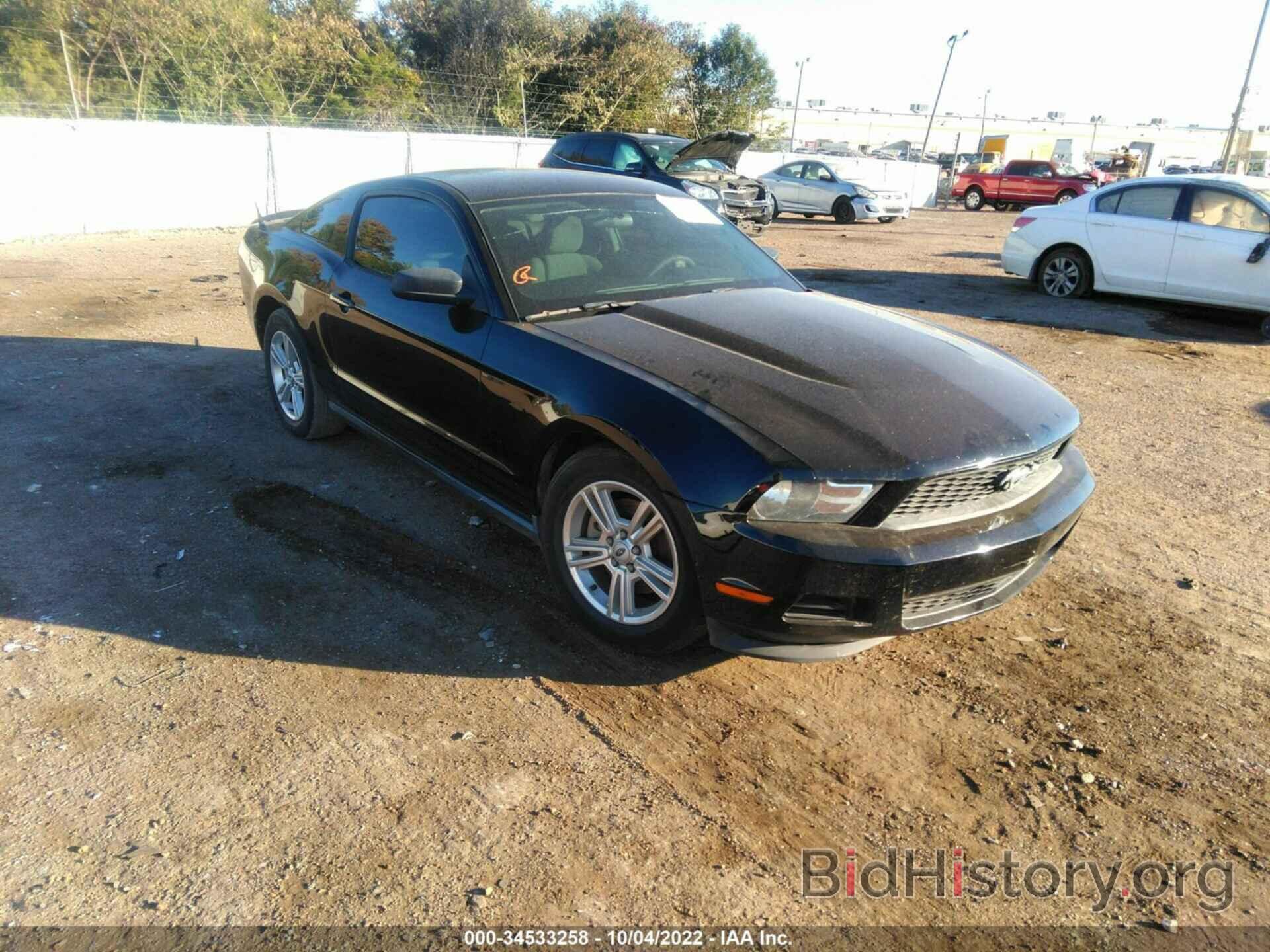 Фотография 1ZVBP8AM7B5143423 - FORD MUSTANG 2011