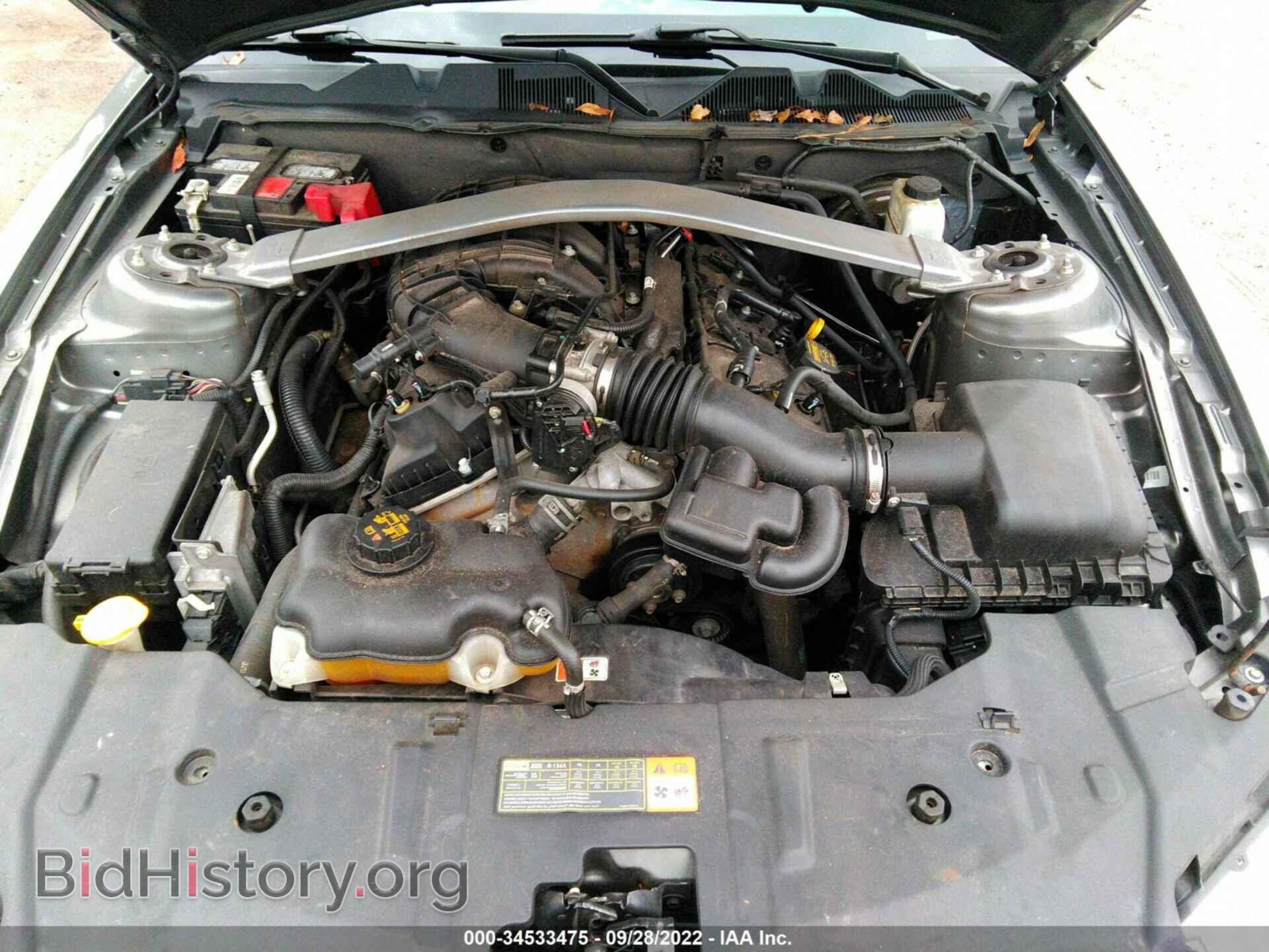 2013 FORD MUSTANG - VIN: 1ZVBP8EM8D5236996 - Фото 10