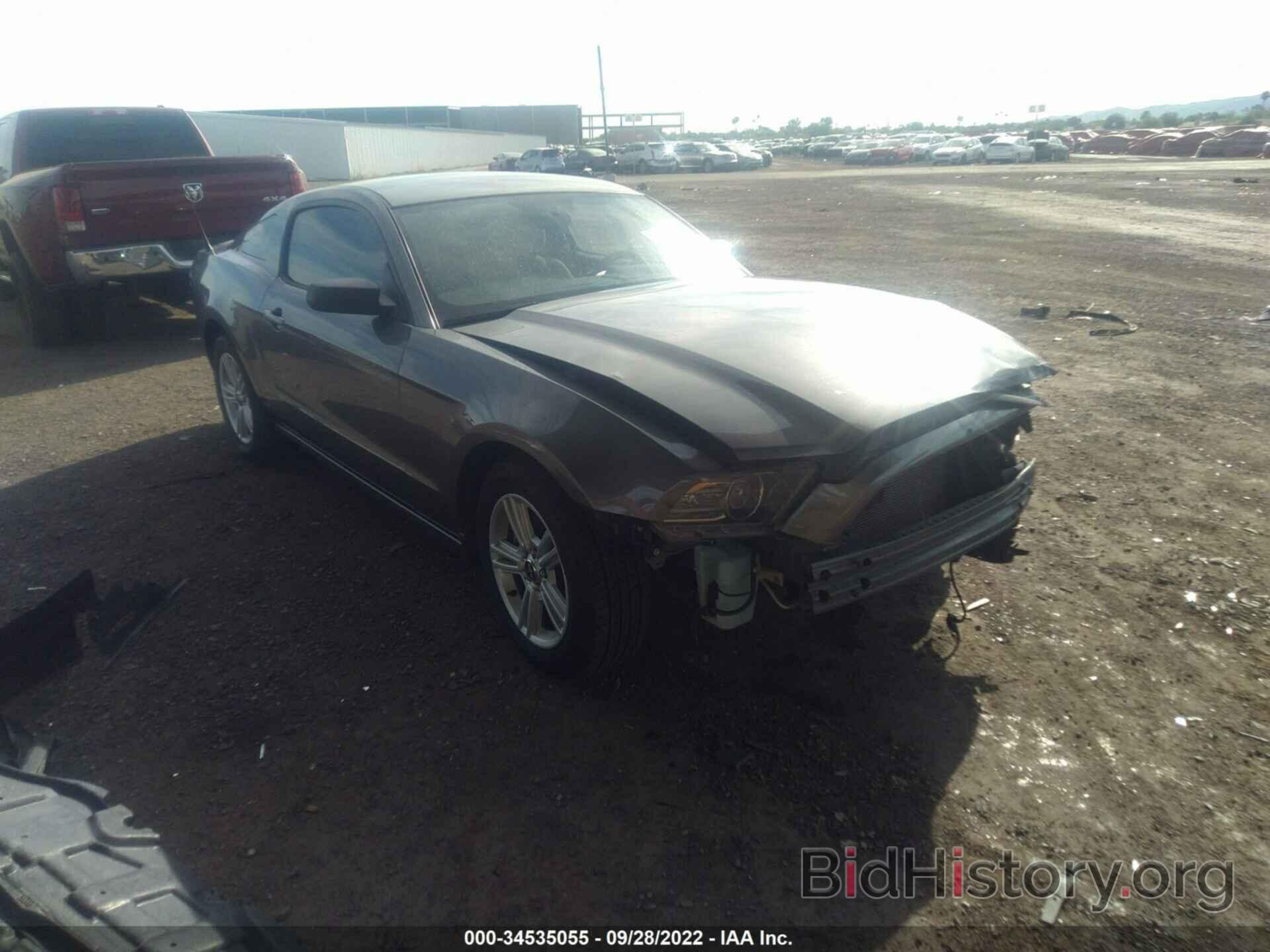 Photo 1ZVBP8AM3D5255431 - FORD MUSTANG 2013