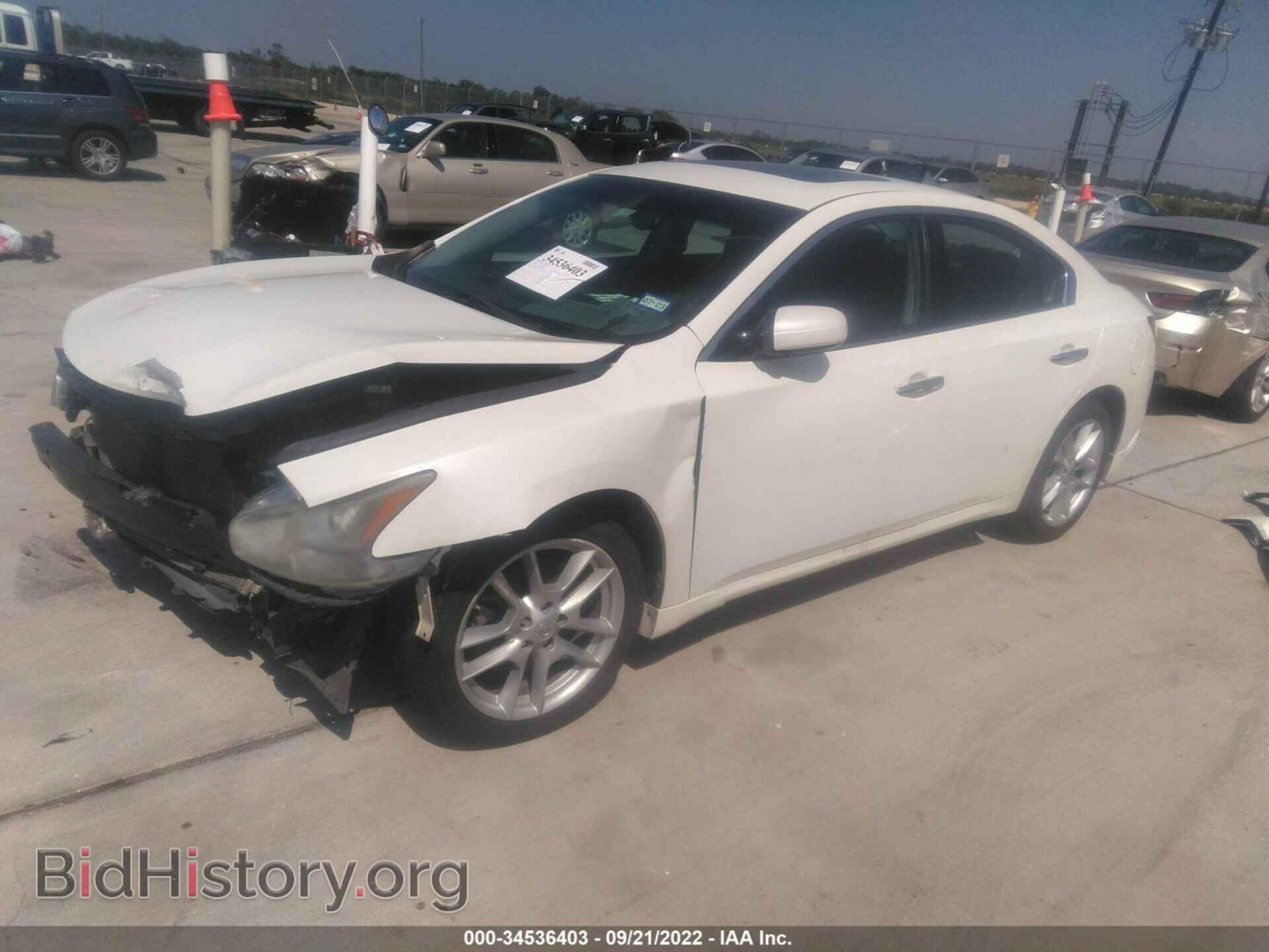 2010 NISSAN MAXIMA - VIN: 1N4AA5AP1AC856228 - Фото 2