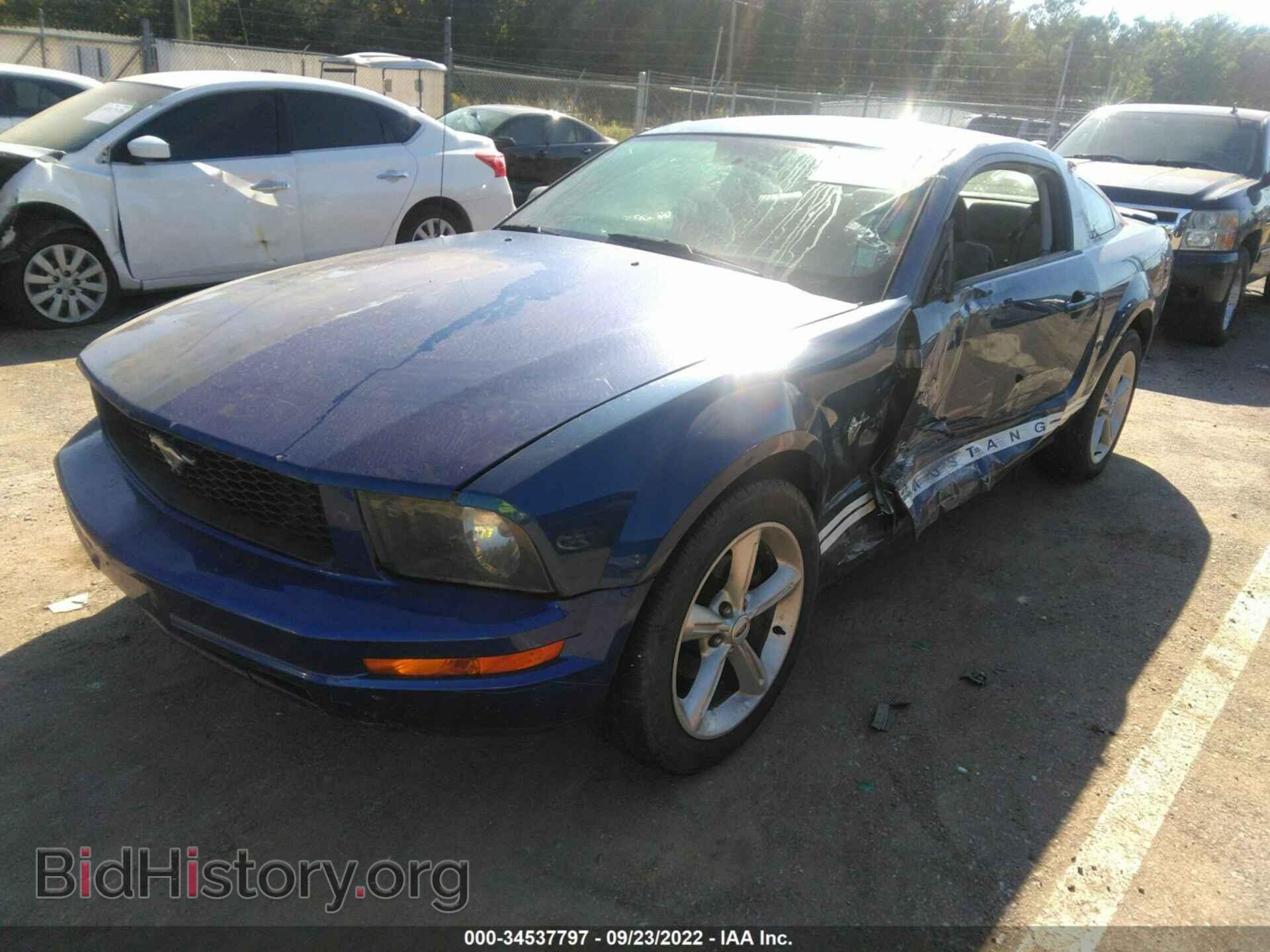 2009 FORD MUSTANG - VIN: 1ZVHT80N095104974 - Фото 2