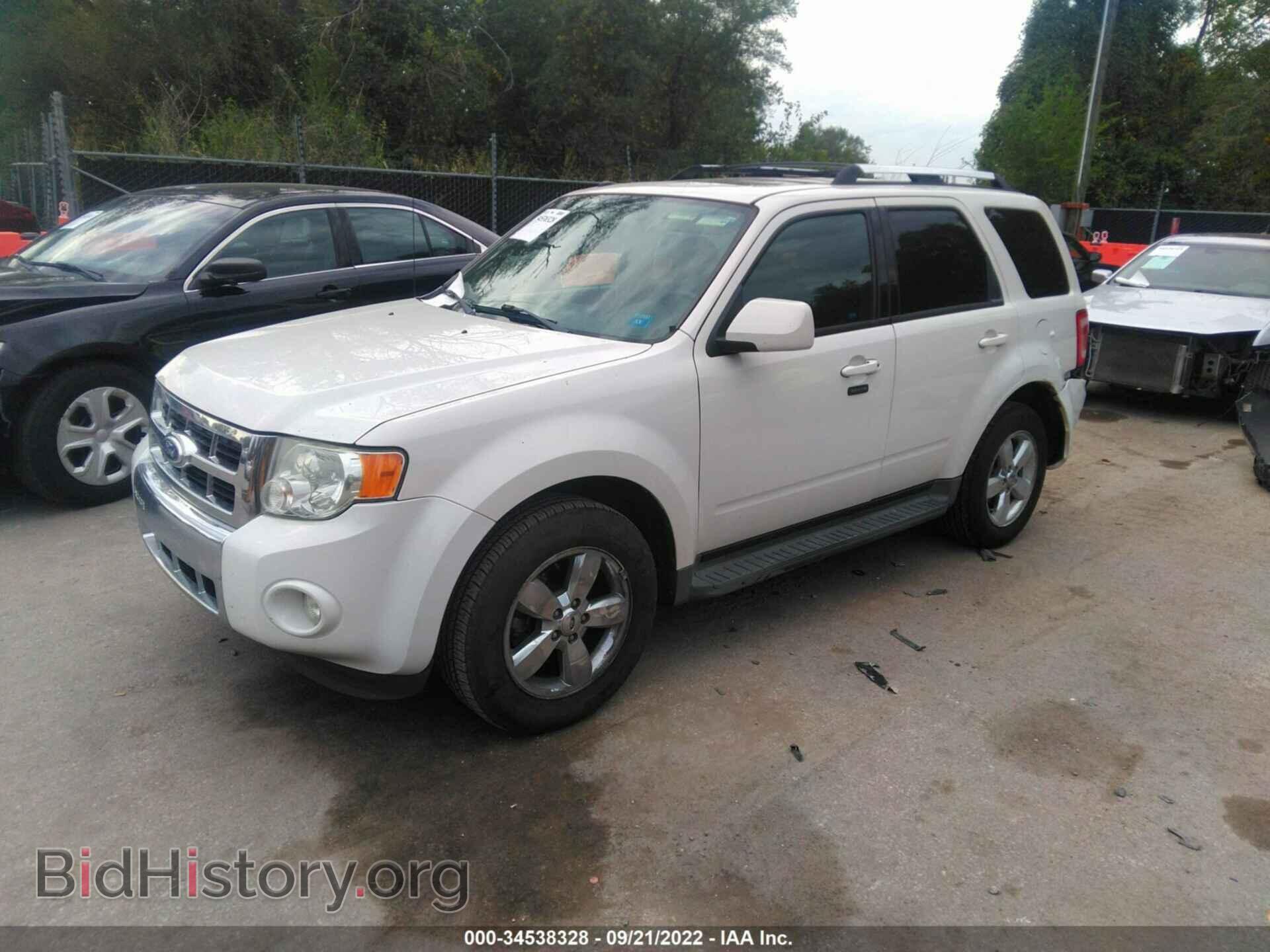 2011 FORD ESCAPE - VIN: 1FMCU0E7XBKA87027 - Фото 2