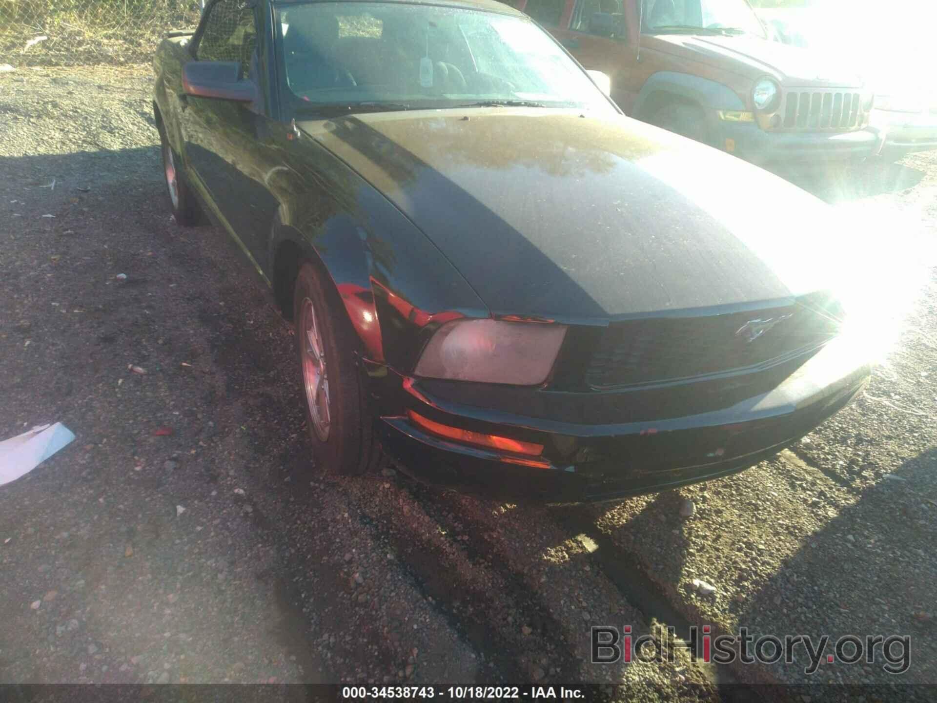 Photo 1ZVFT84N975293896 - FORD MUSTANG 2007