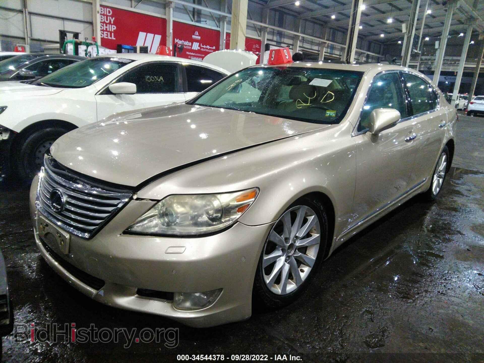 2010 LEXUS LS 460 - VIN: 00HCL5EF6A5006080 - Фото 2