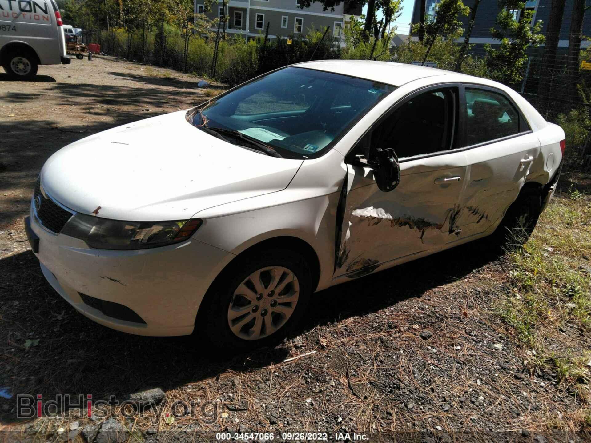 2012 KIA FORTE - VIN: KNAFT4A2XC5595209 - Фото 2