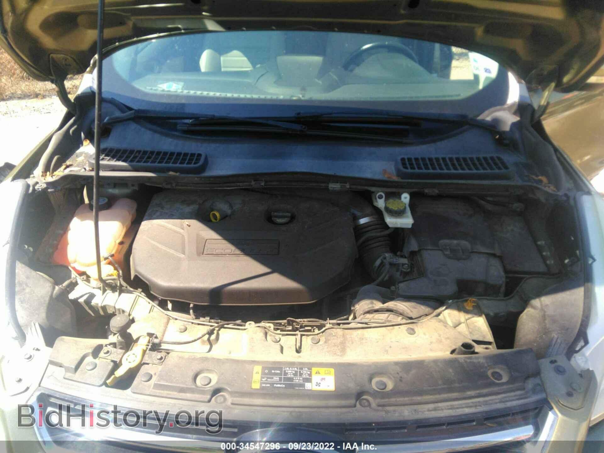2013 FORD ESCAPE - VIN: 1FMCU0H95DUD75669 - Photo 10