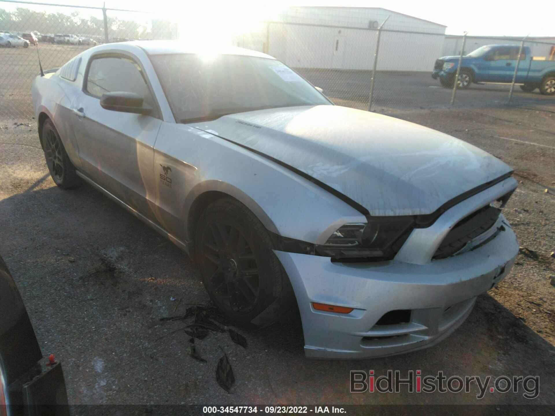 Photo 1ZVBP8AM0E5319202 - FORD MUSTANG 2014