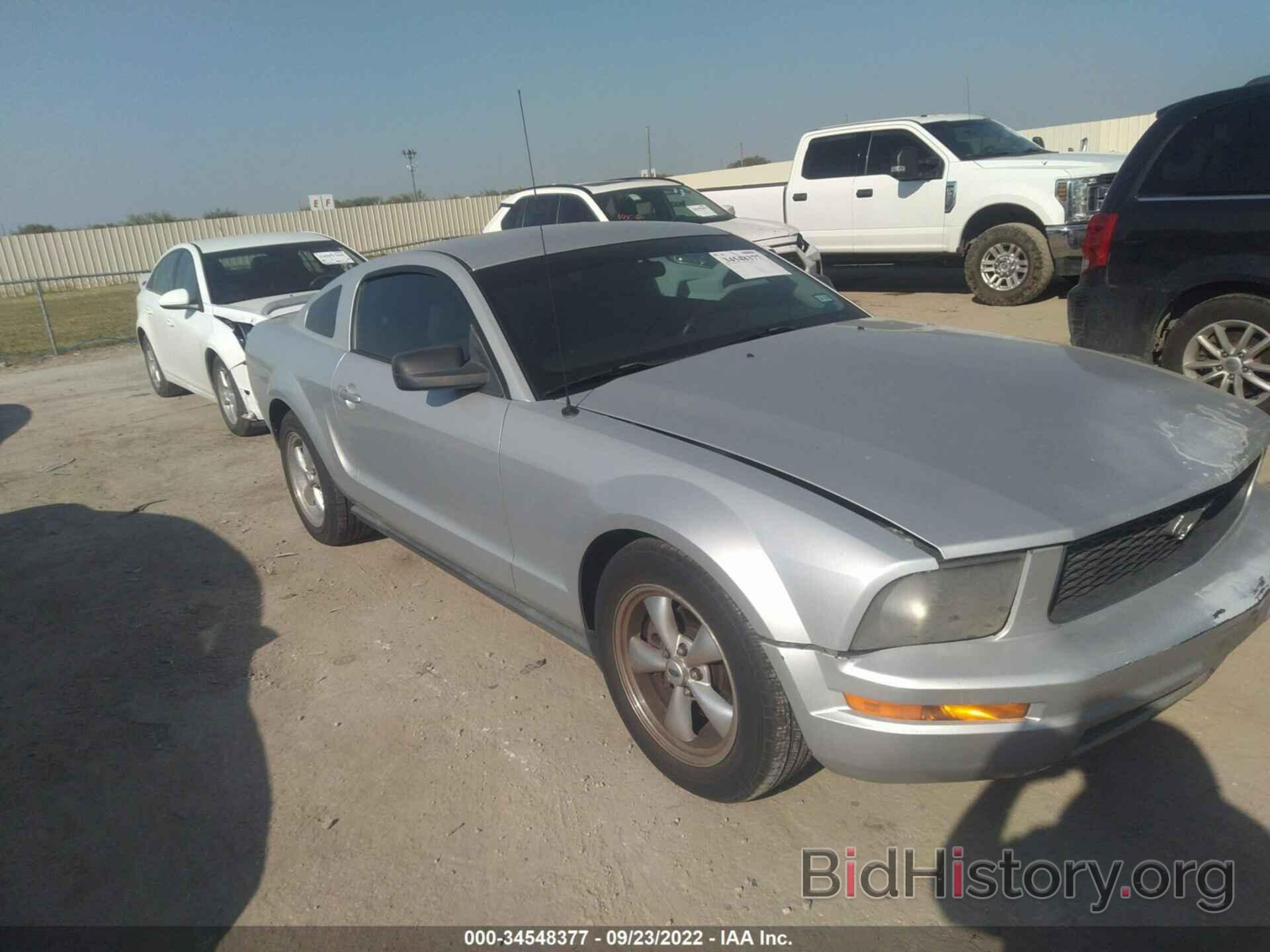 Photo 1ZVHT80N785177497 - FORD MUSTANG 2008