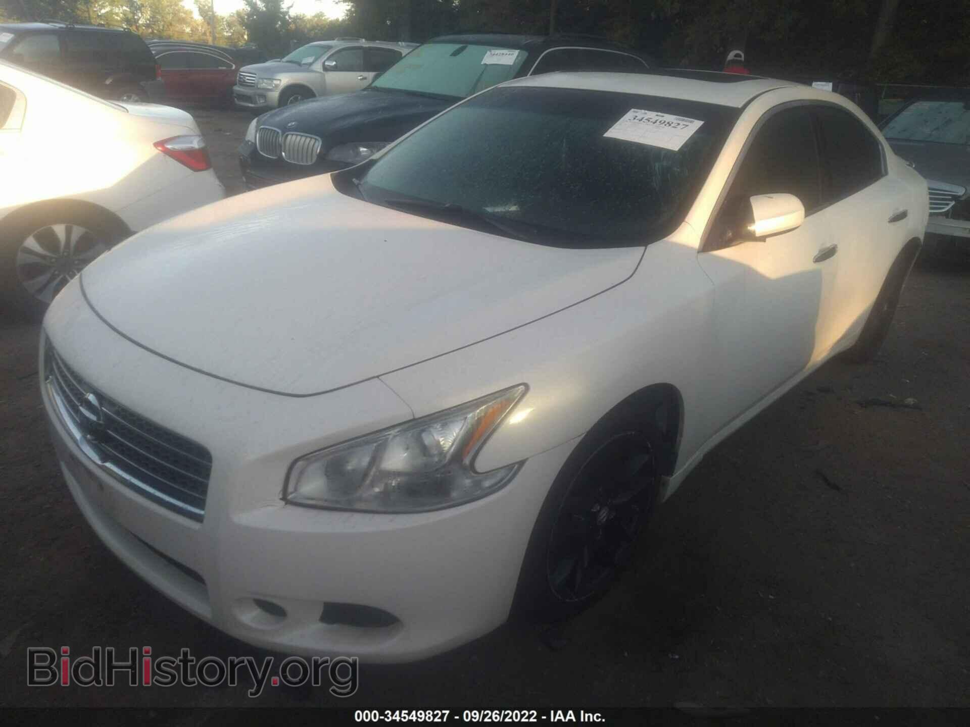 2011 NISSAN MAXIMA - VIN: 1N4AA5AP0BC819768 - Фото 2