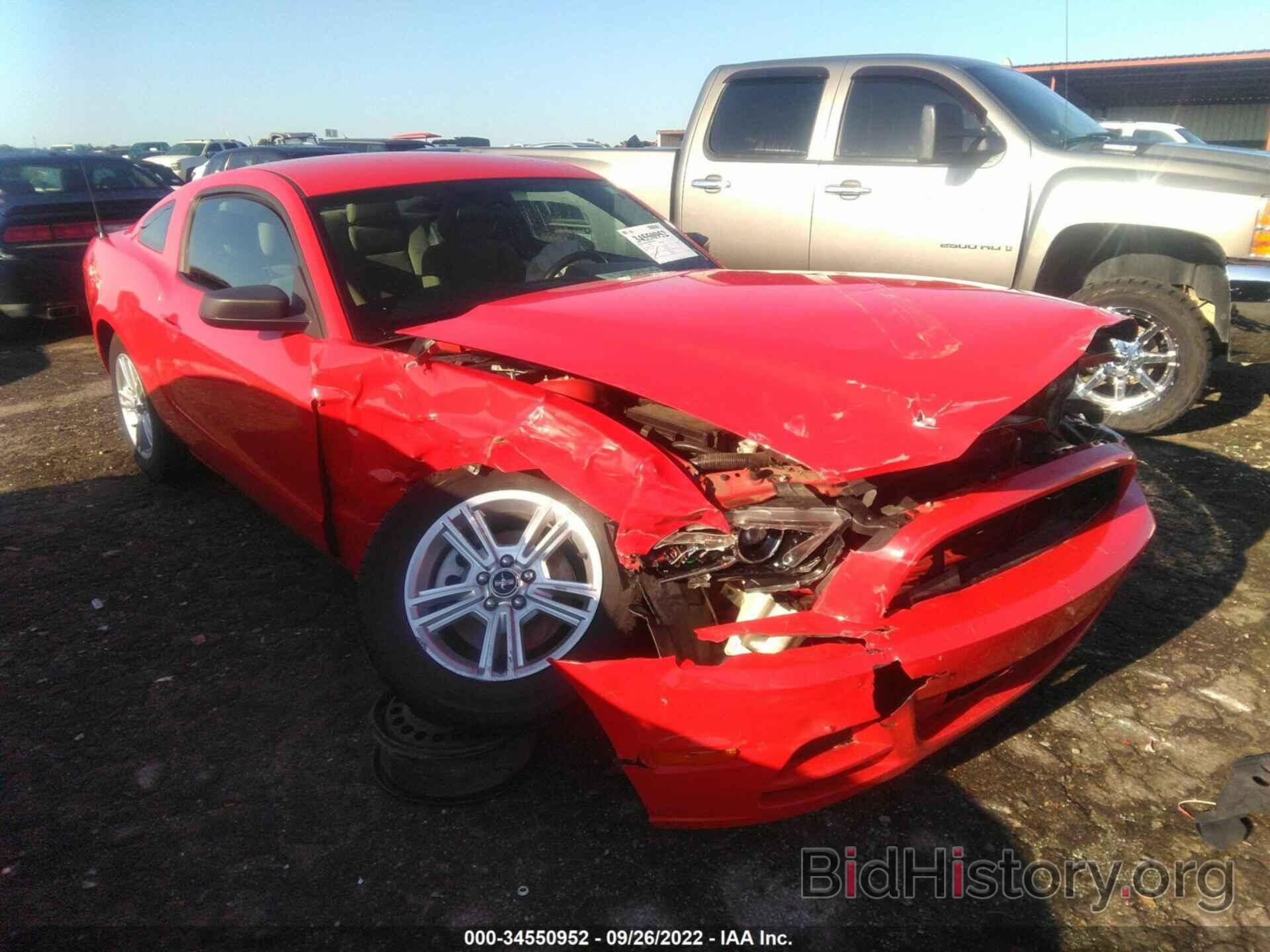 Photo 1ZVBP8AM3D5203524 - FORD MUSTANG 2013