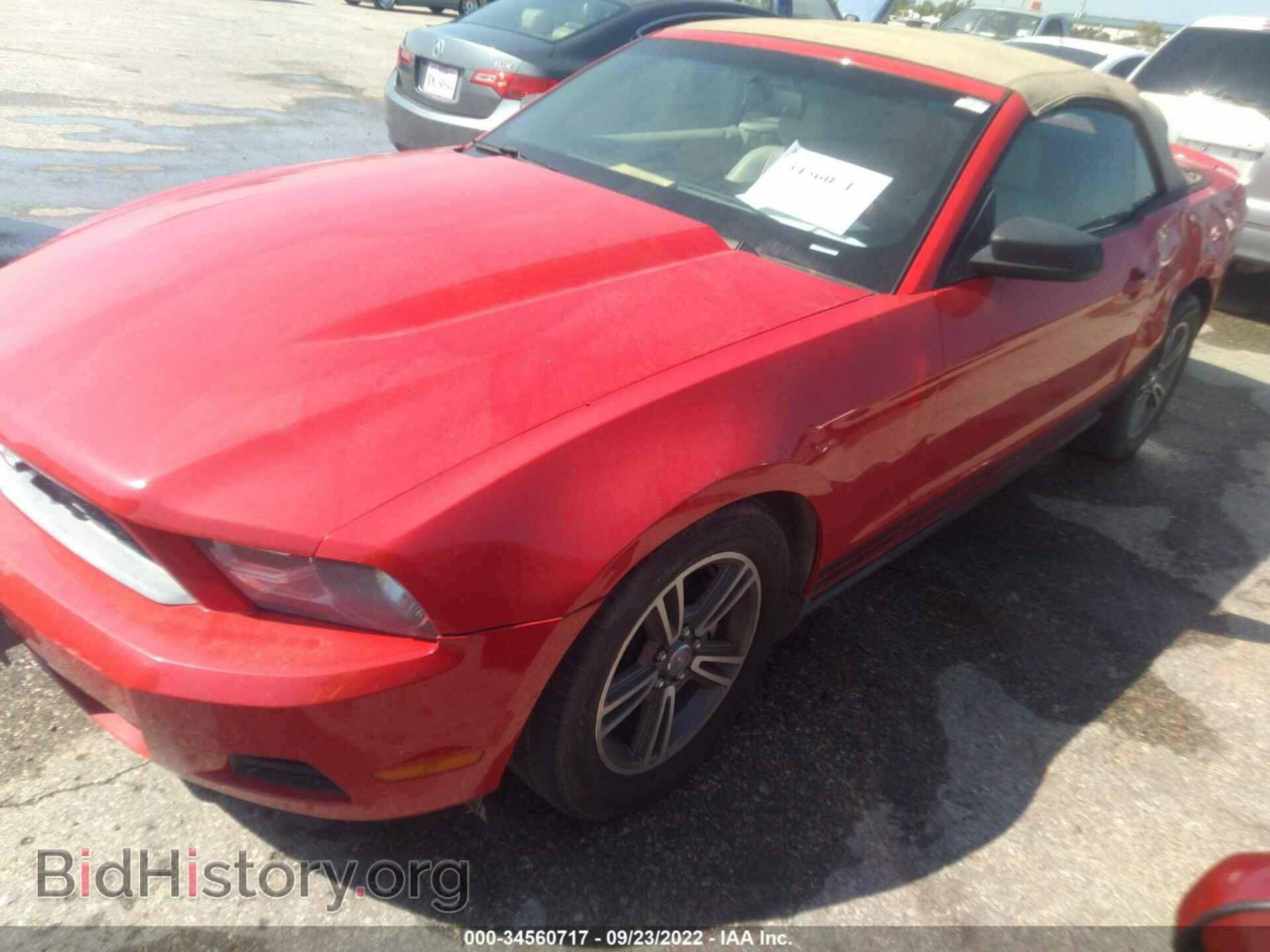 2010 FORD MUSTANG - VIN: 1ZVBP8EN8A5178537 - Фото 2